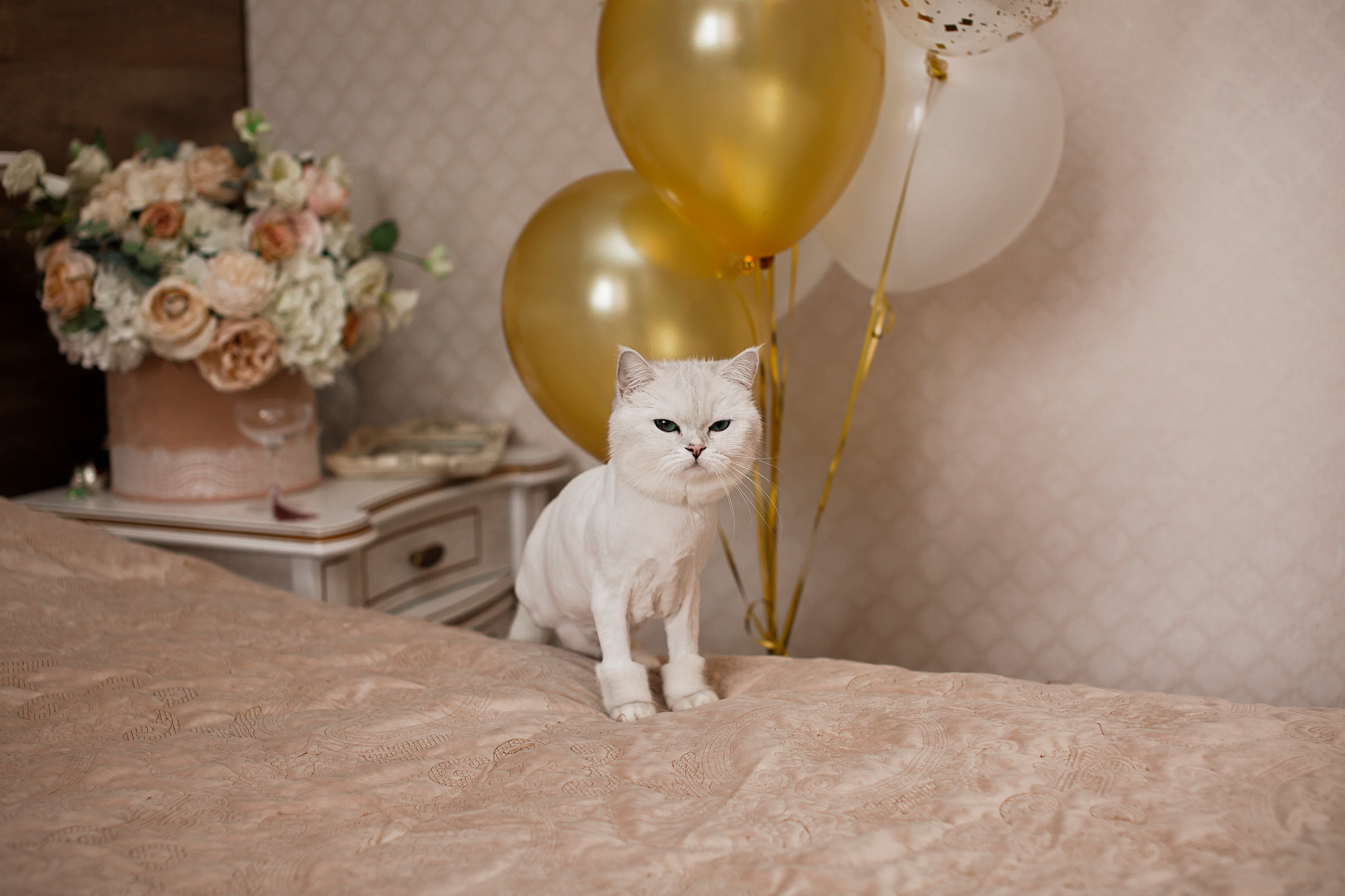 Виктор&Татьяна. Свадебный и семейный фотограф/видеограф в Краснодаре Наталья Осинская