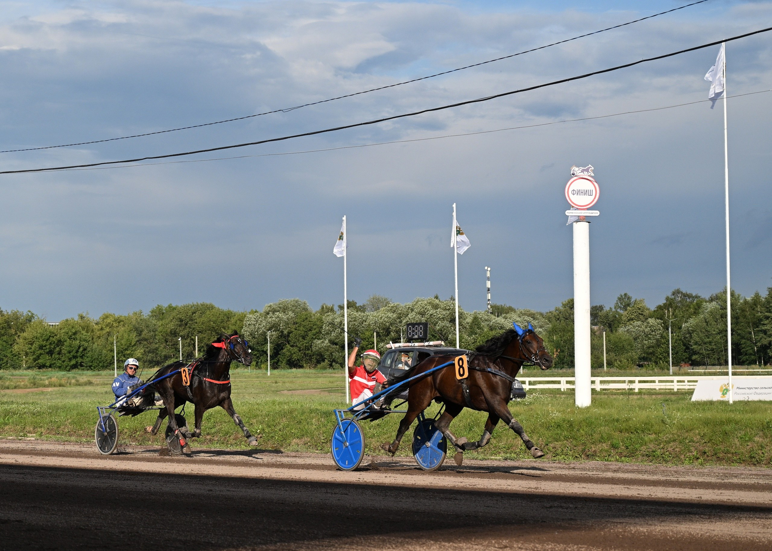Скачки. Профессиональный фотограф ДМИТРИЙ ЕГОРОВ