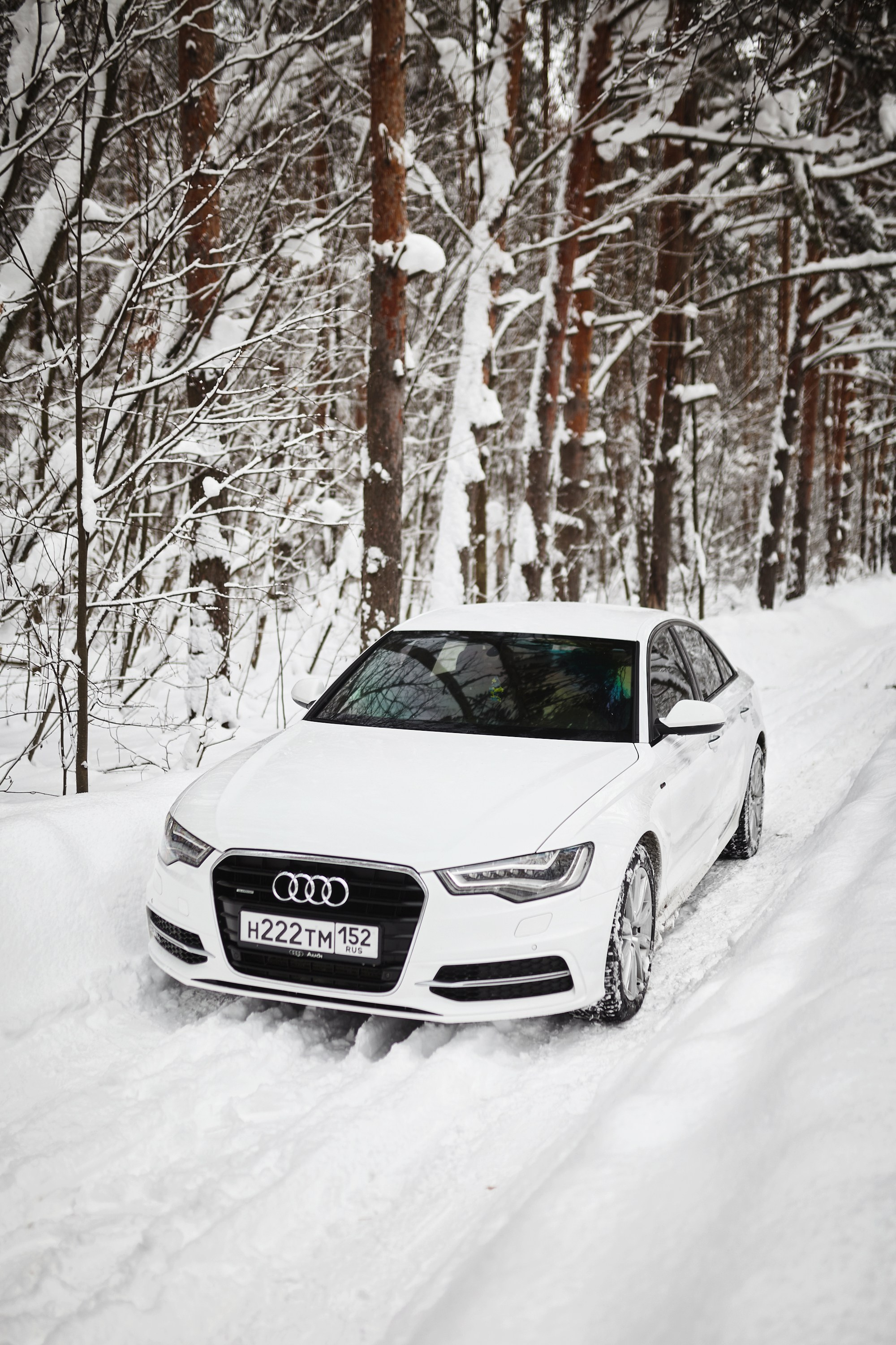 Audi A6. DKARPOCHEVA PHOTOGRAPHY