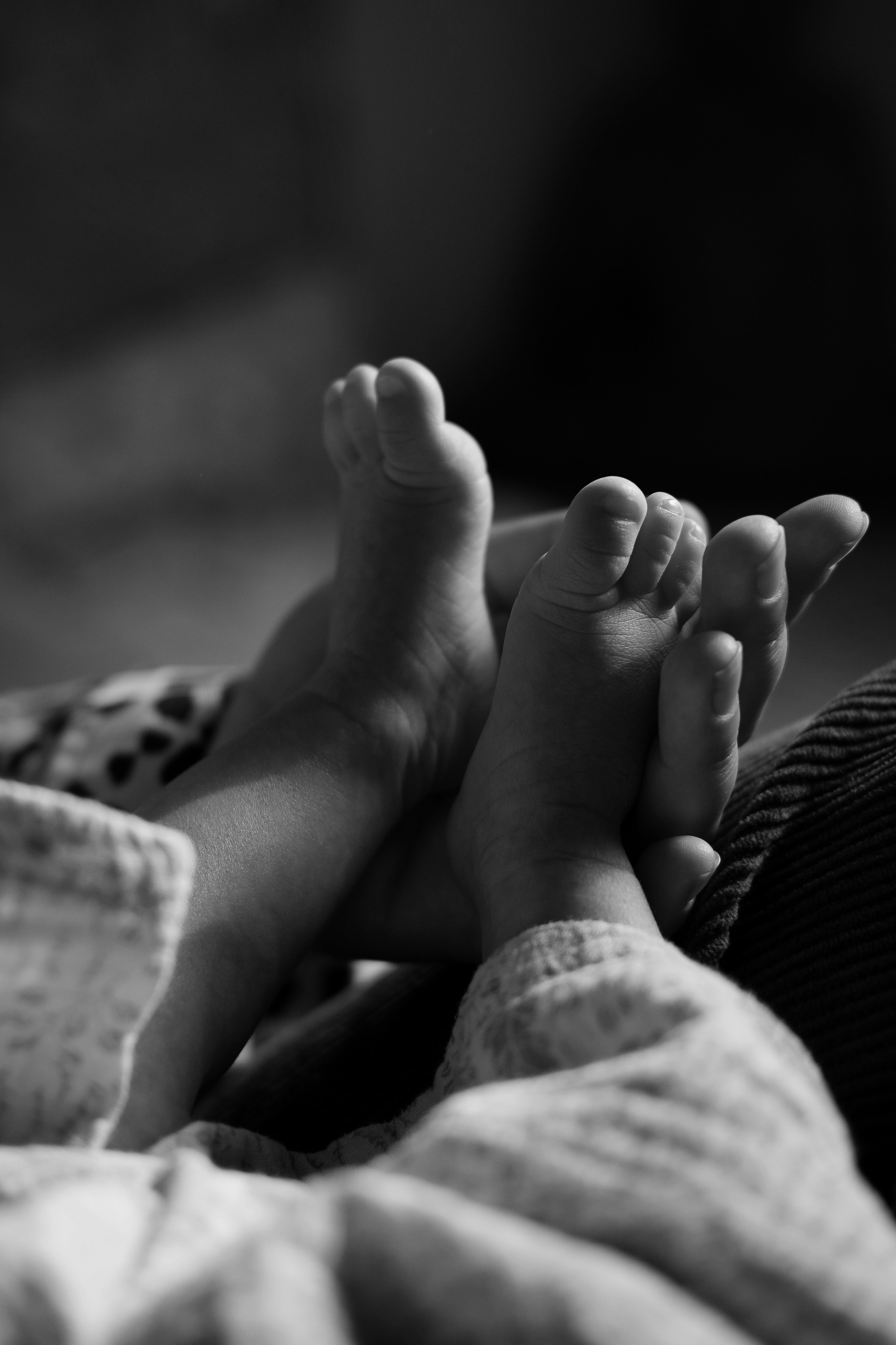 Семейные фотосессии в Сочи, Сириус и на Красной поляне. Семейный, свадебный фотограф Сочи, Адлер, Красная поляна