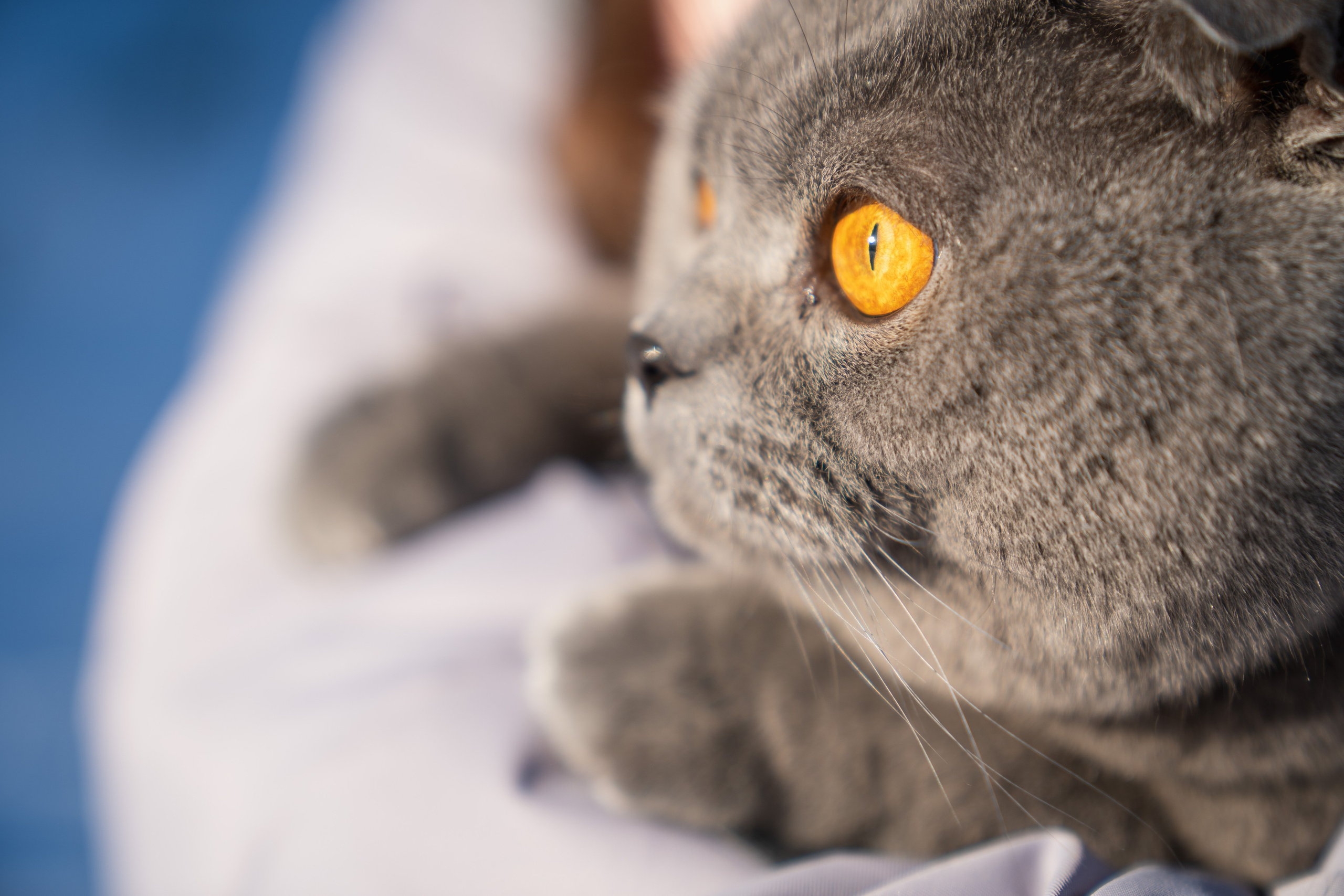 Кефир. Photography&Video