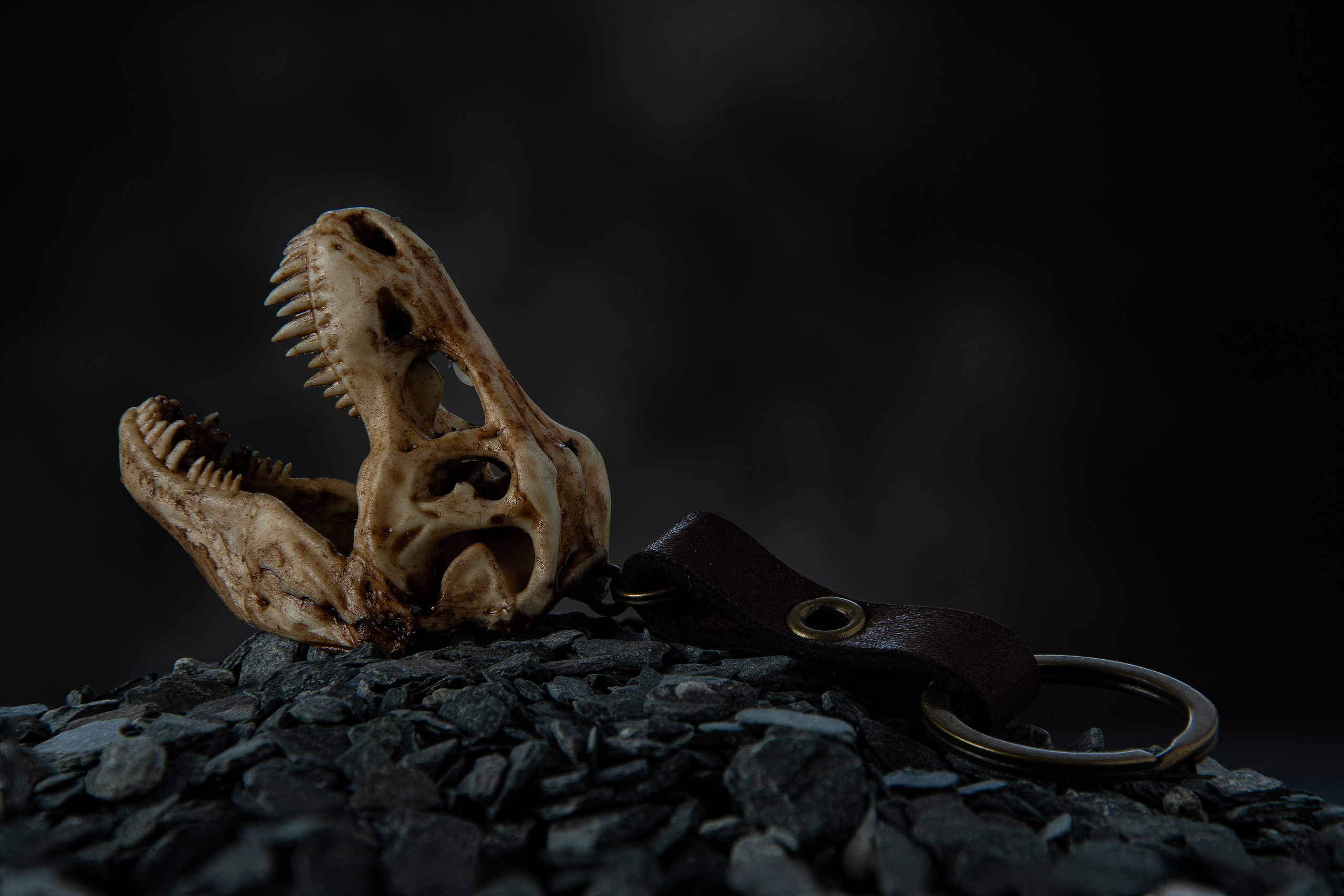 Фото и видео контент. Создание фото и видео контента. Предметная съемка. Предметный фотосъемка. Продакшн фото. Видео продакшн. Предметная фотосъемка в Москве. Предметный фотограф — Вячеслав Иванов