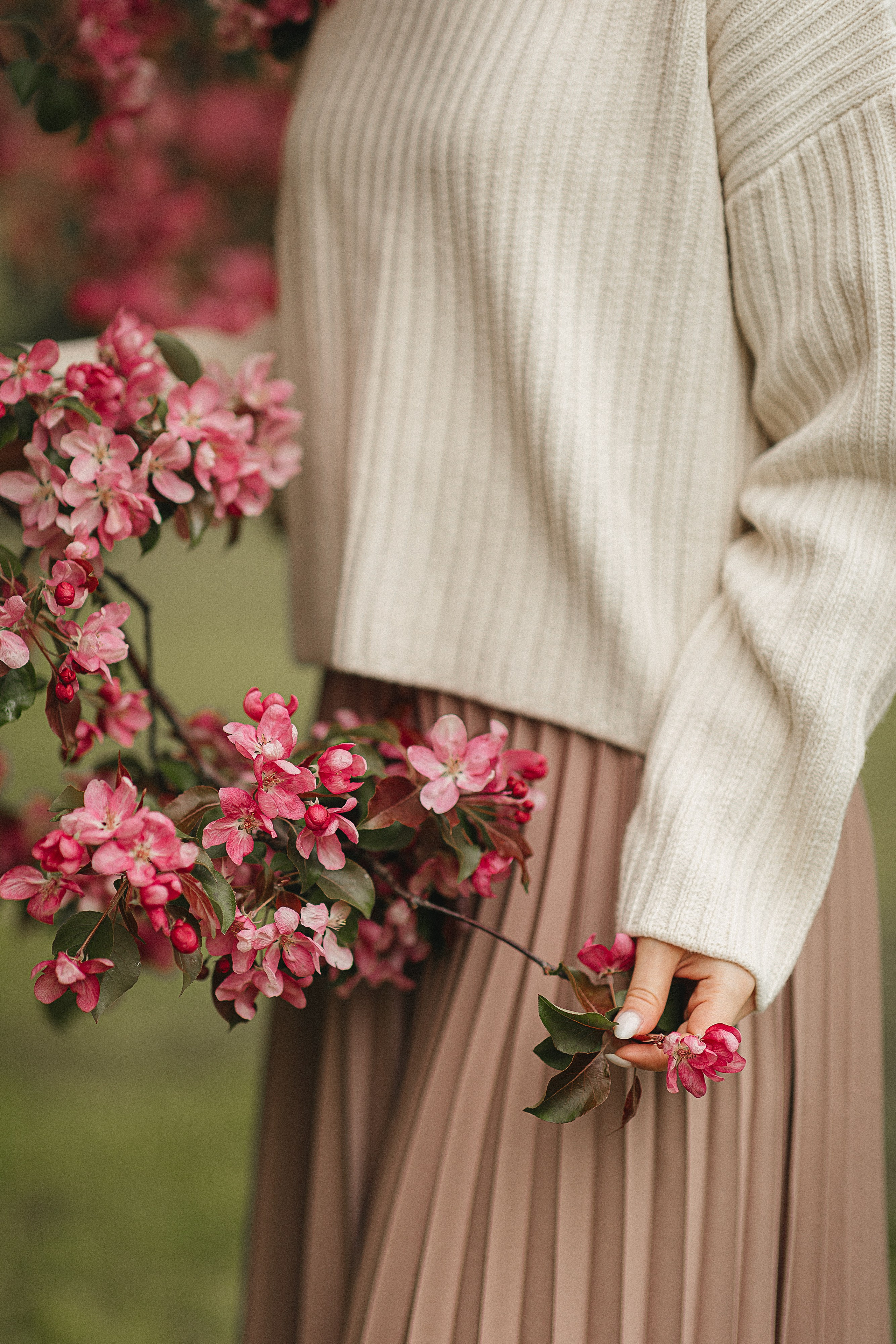 Розовые яблони. Фотограф Москва