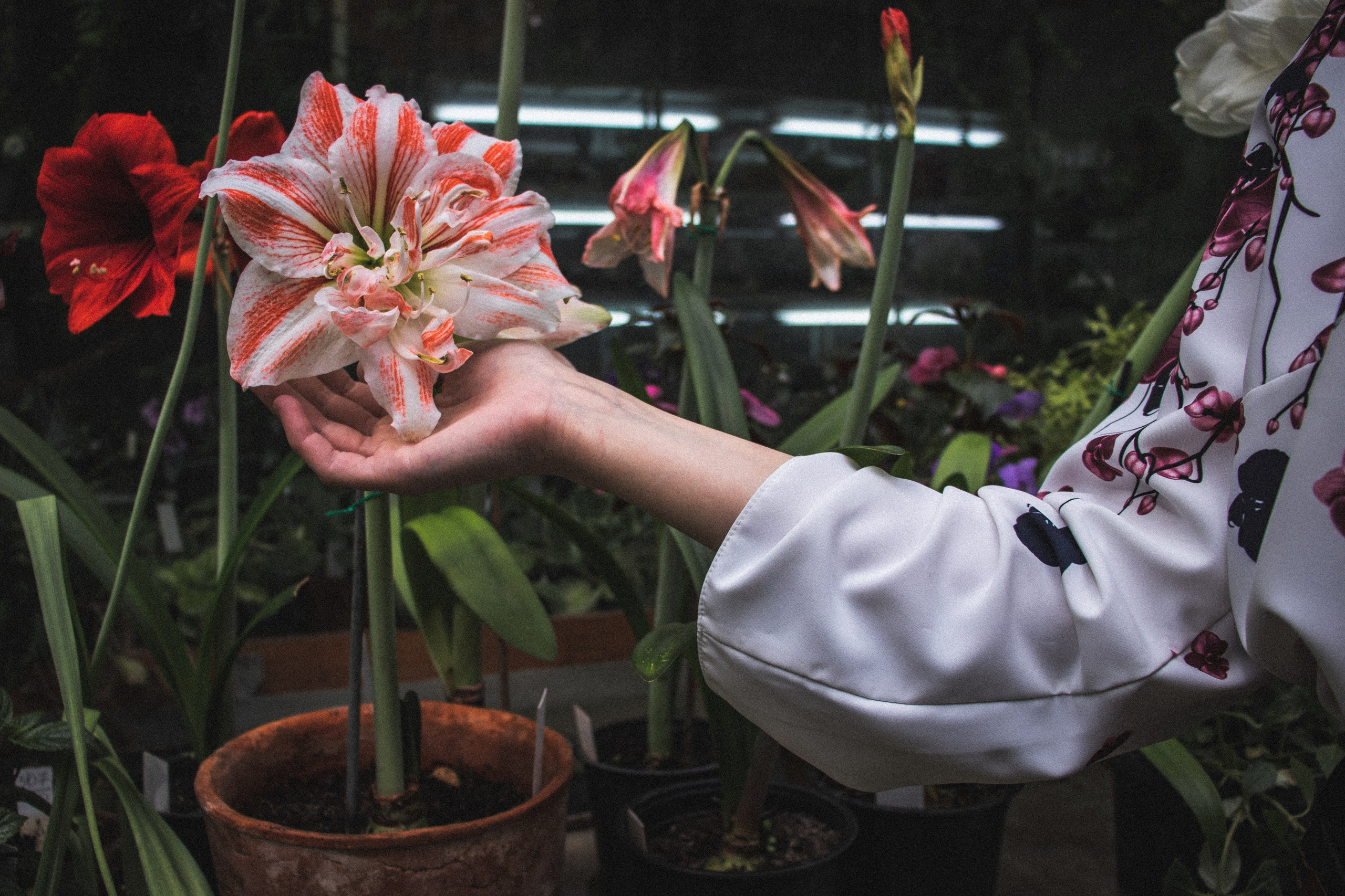 Фотограф Томск. Портретный фотограф Томск. Индивидуальная фотосессия Томск. Фотограф в Томске Дарья Пучкина