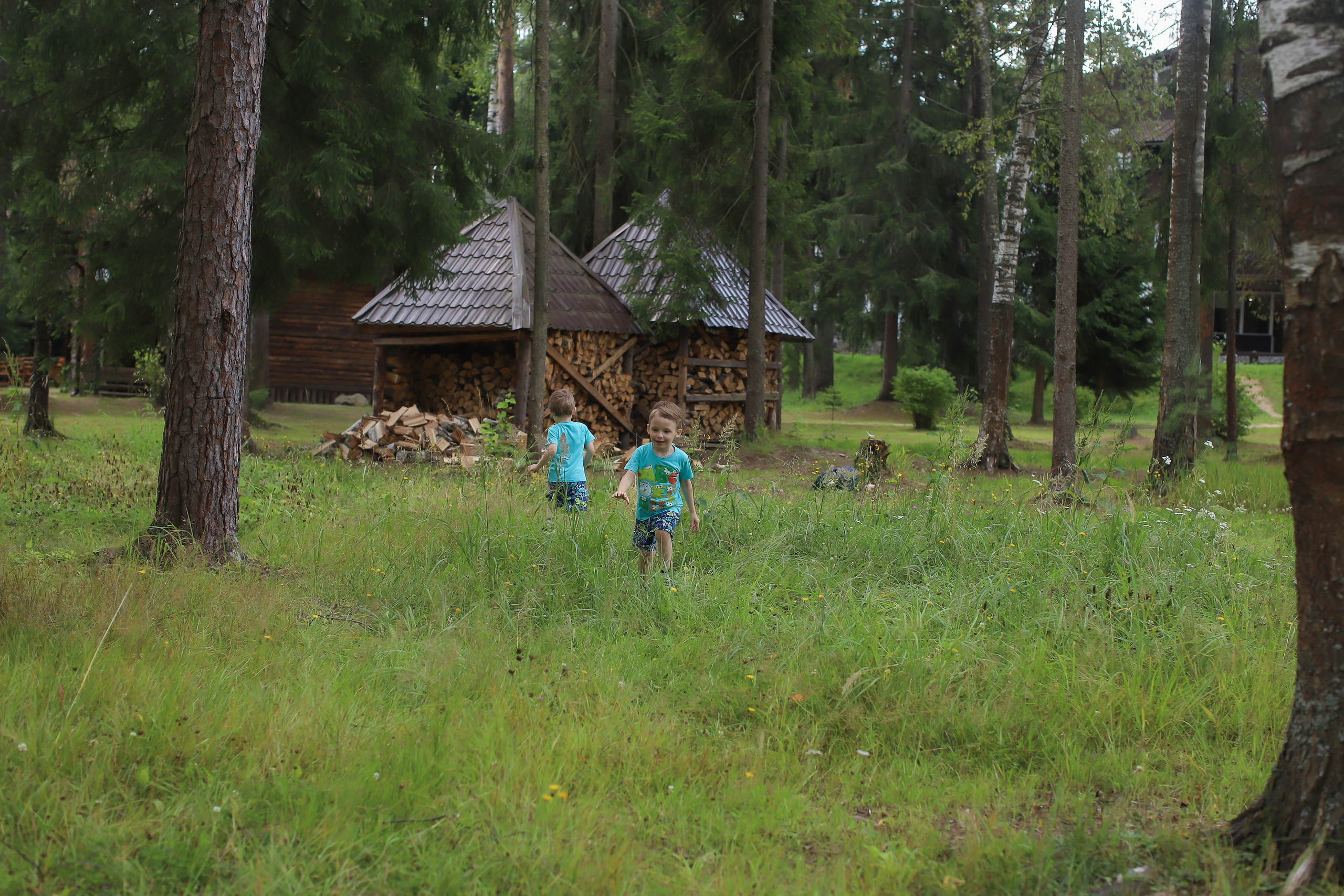 Миниатюра на пеньках. Детский и семейный фотограф Мария Киселёва. Москва