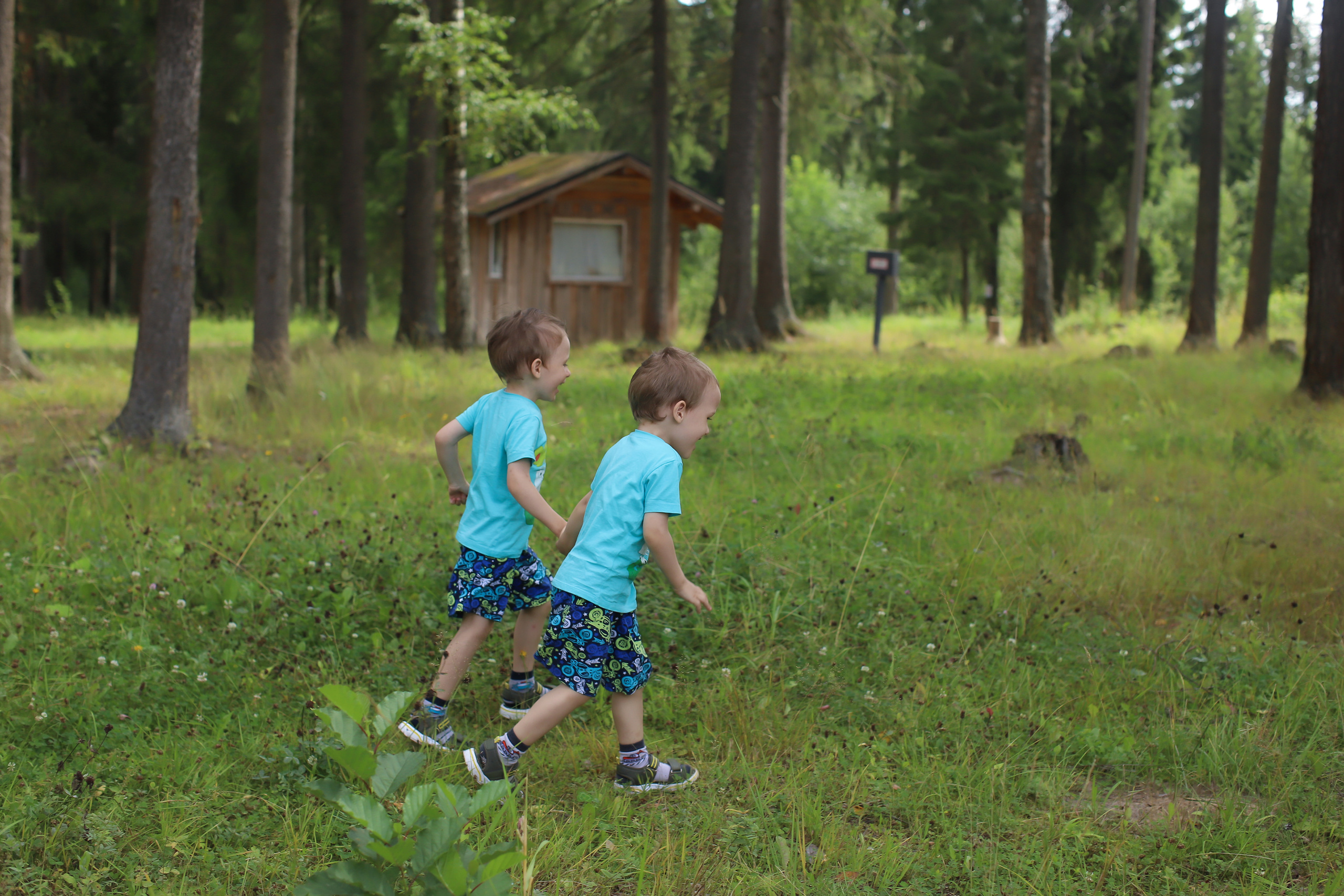 Миниатюра на пеньках. Детский и семейный фотограф Мария Киселёва. Москва