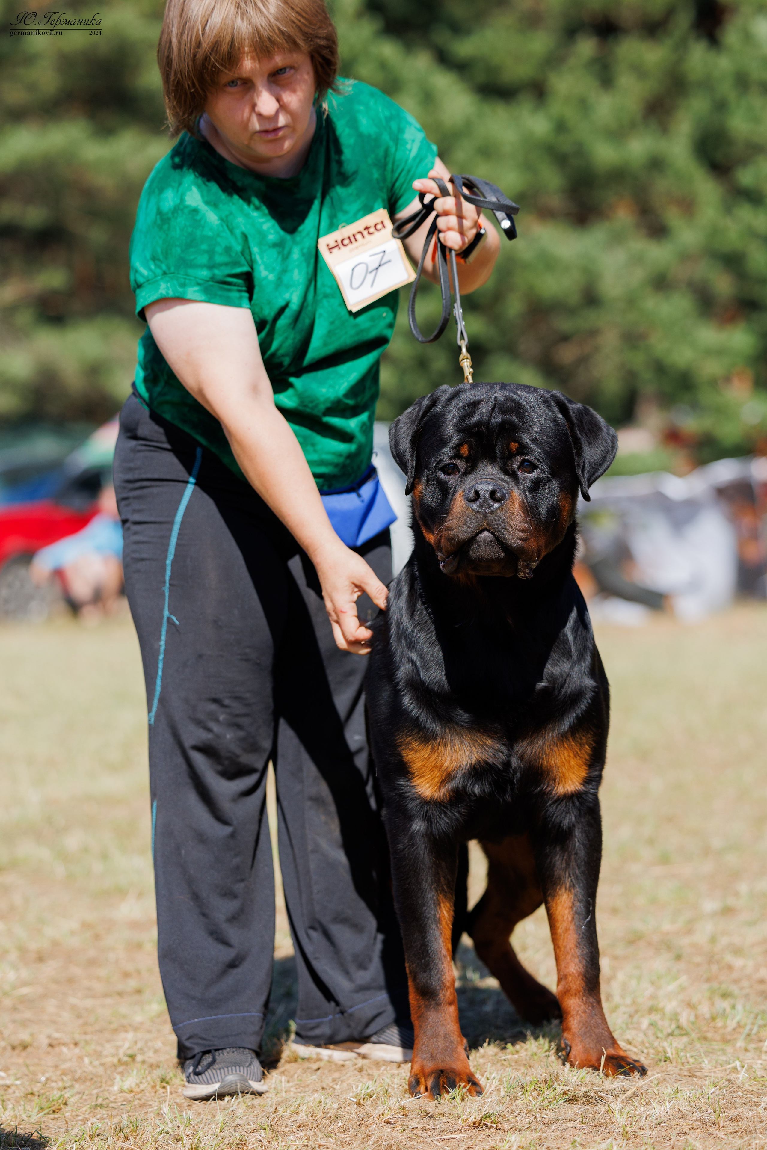 ПК и КЧК ротвейлеры Тверь 6-7.07.2024. Фотограф-анималист Юлия Германика
