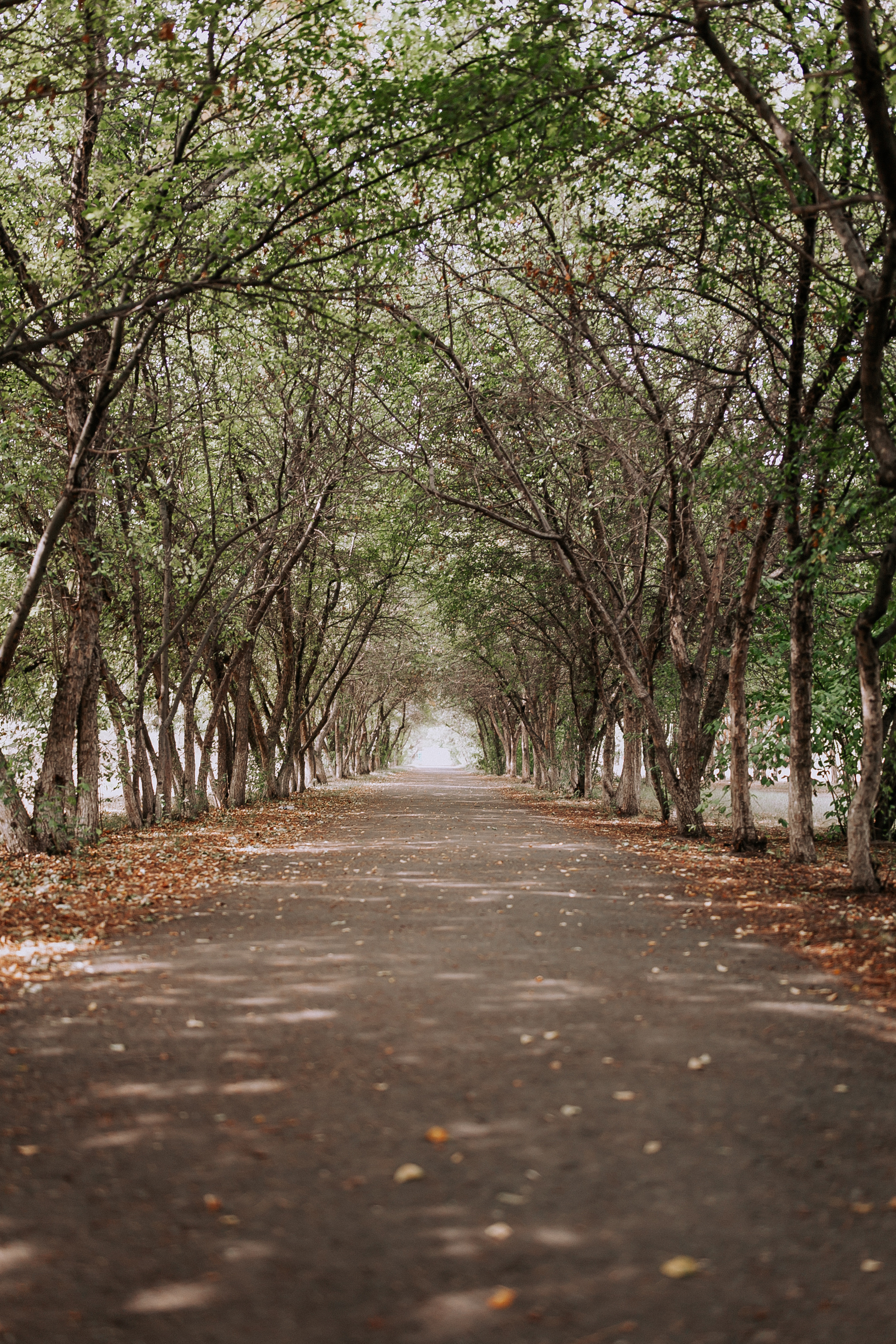 Антон и Настя. Фотограф в Тюмени Пушкарева Анастасия