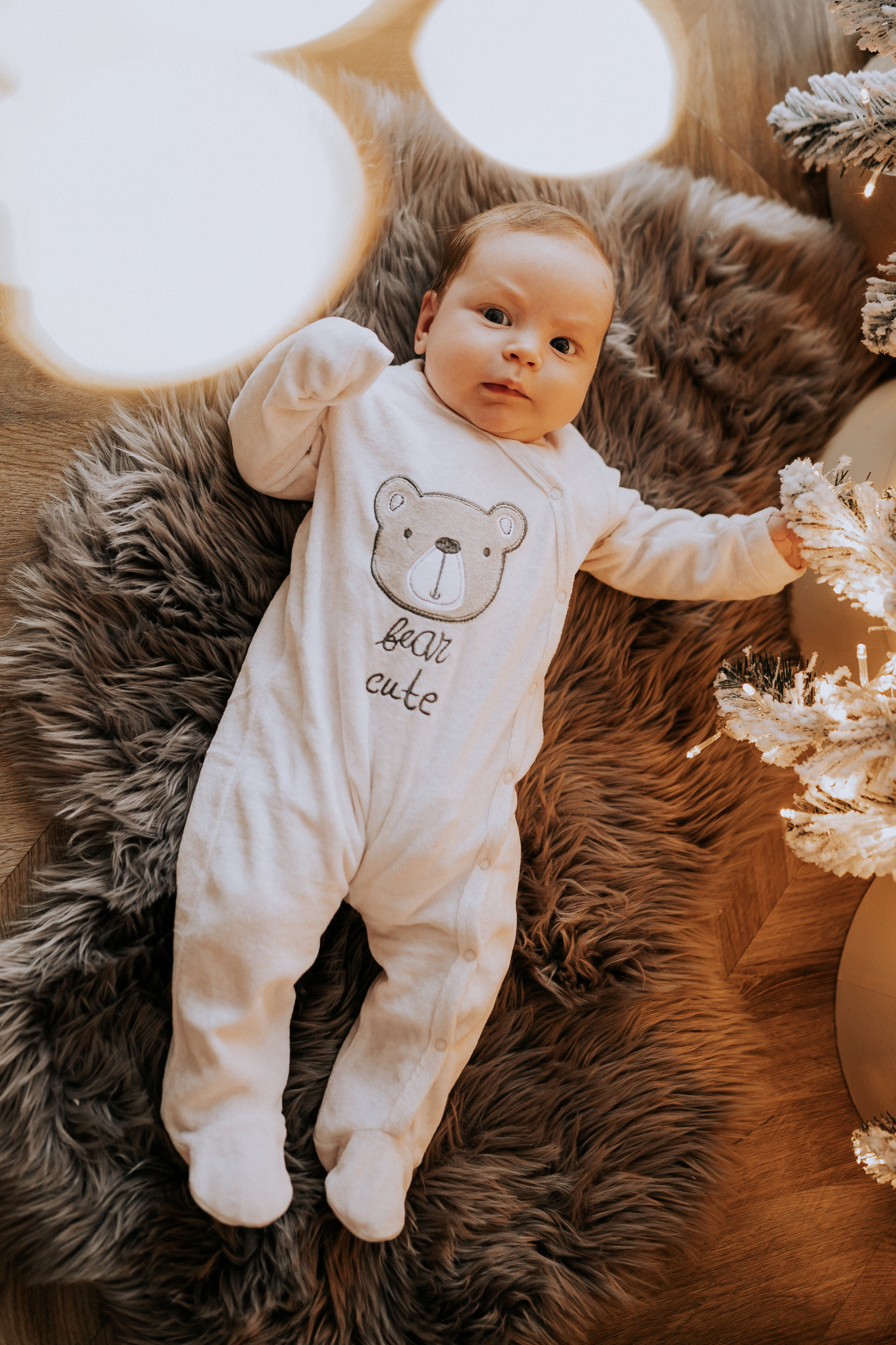 Под ёлочкой. Фотограф в Тюмени Пушкарева Анастасия