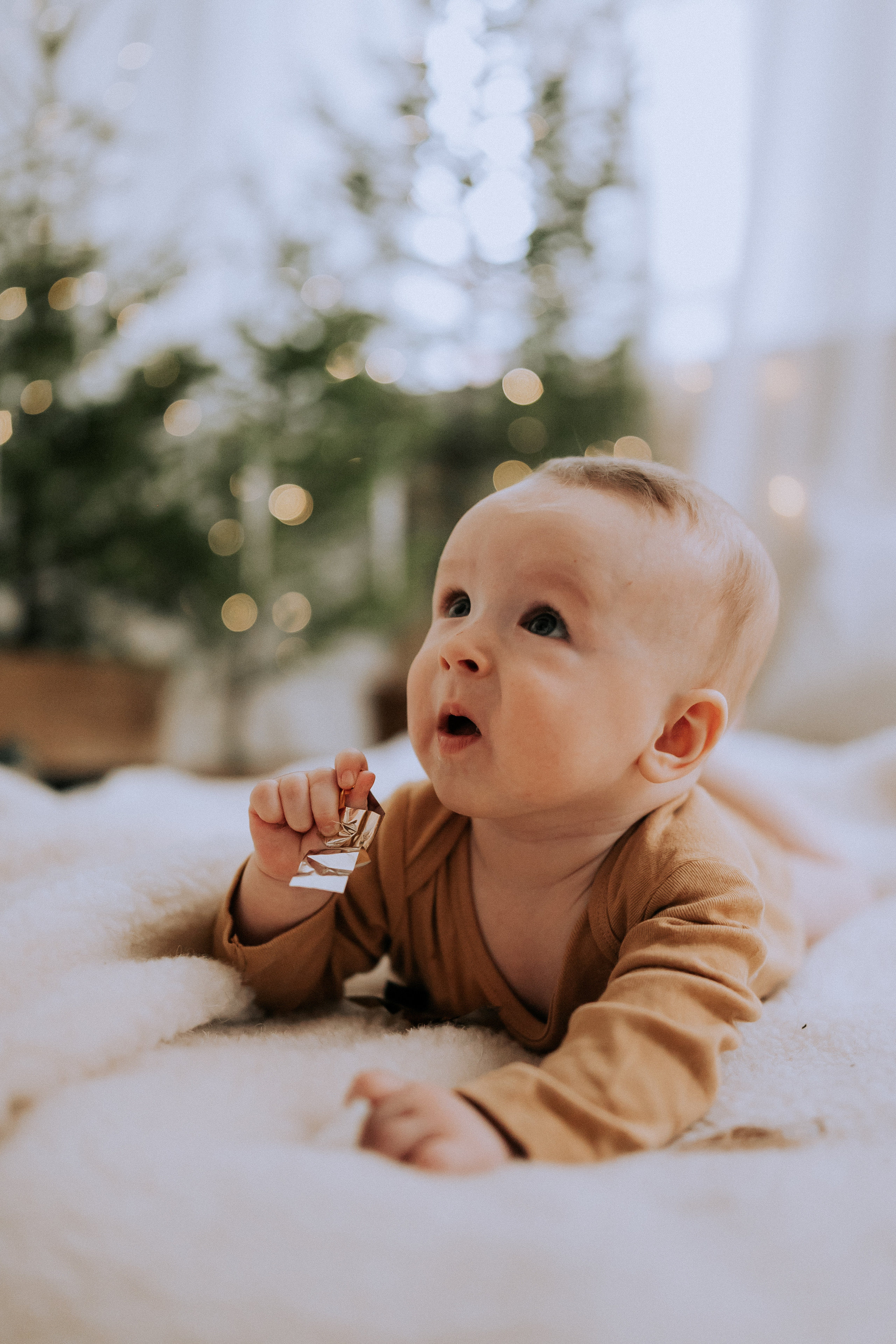 Little Santa. Фотограф в Тюмени Пушкарева Анастасия
