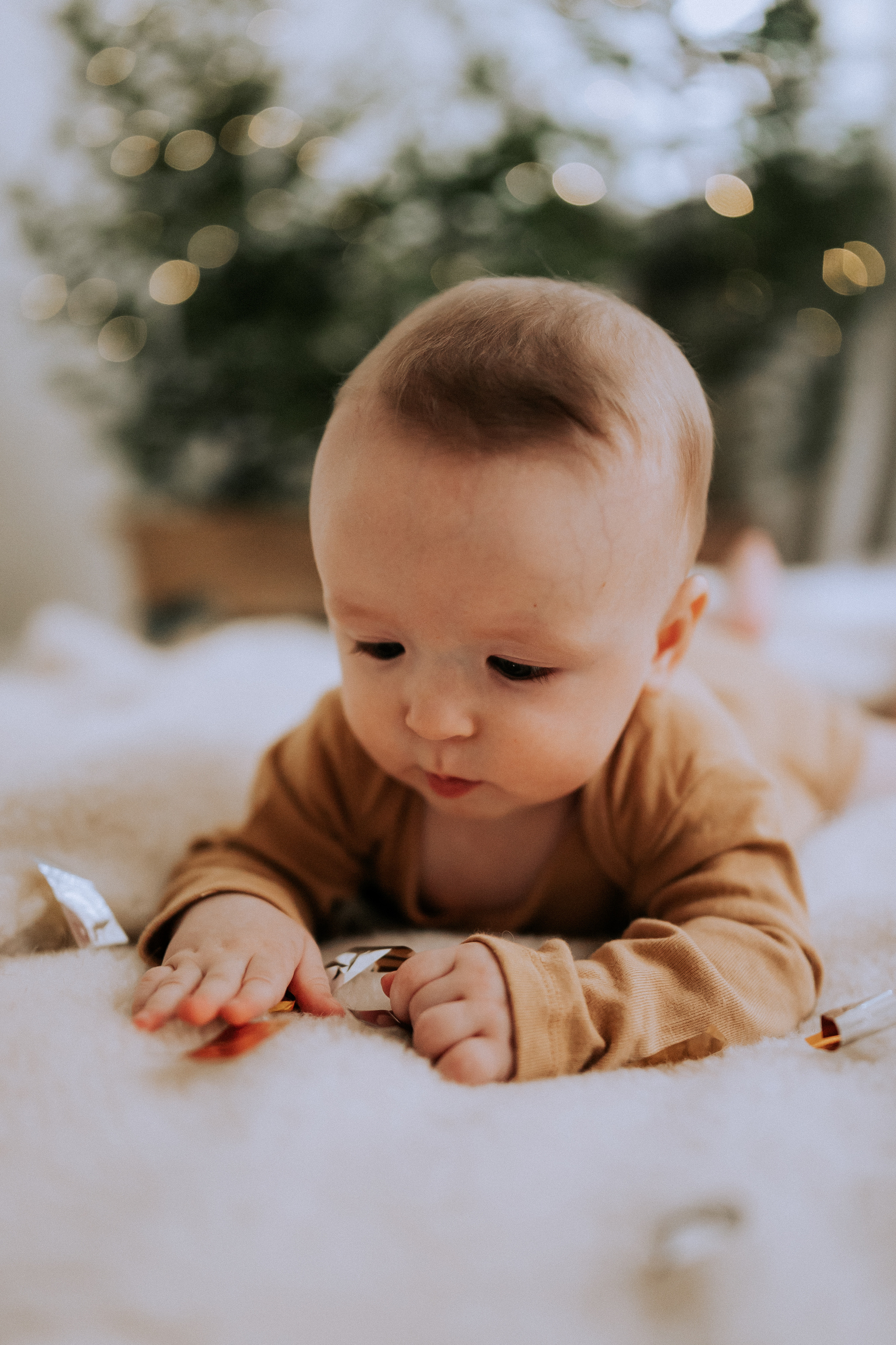 Little Santa. Фотограф в Тюмени Пушкарева Анастасия
