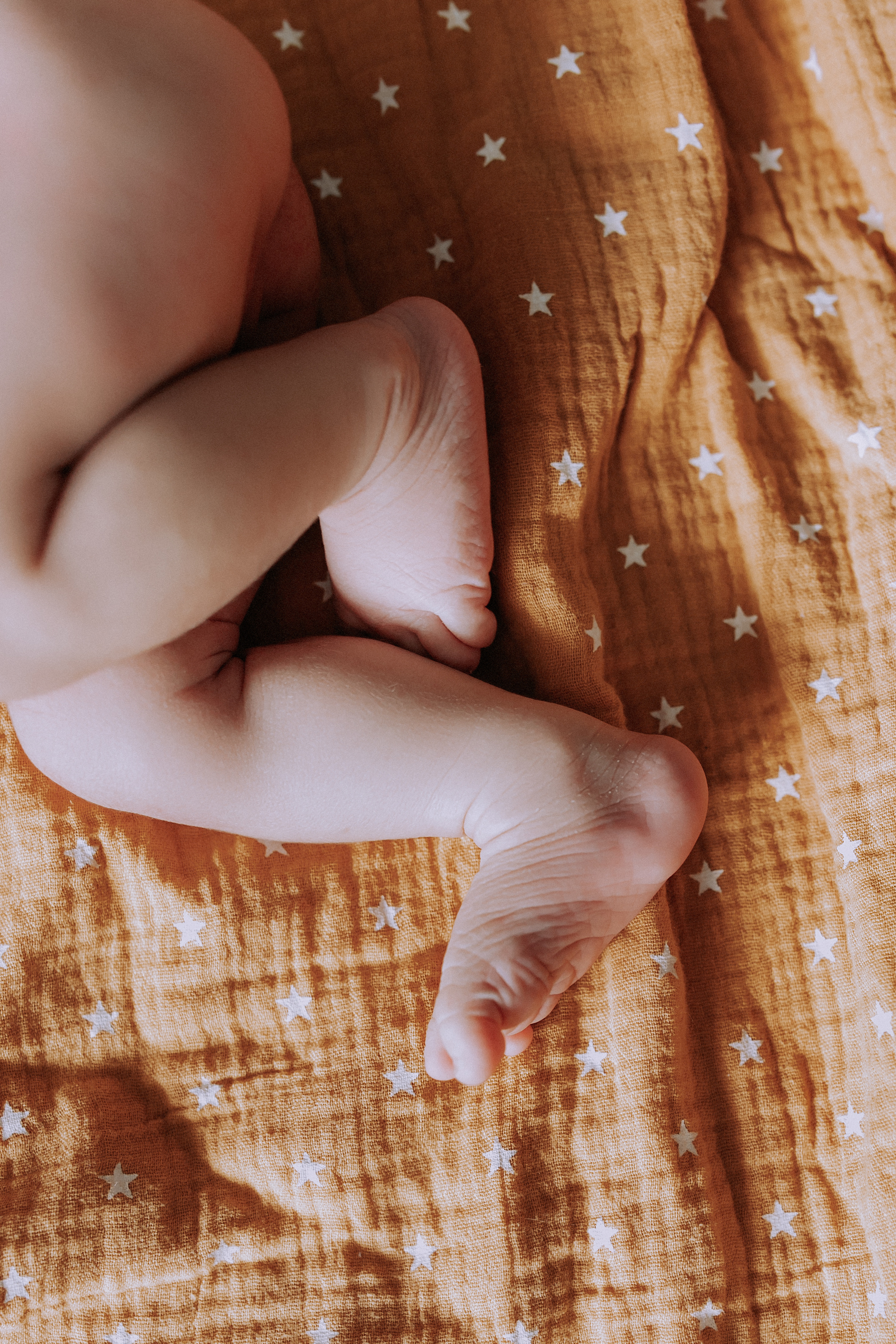 Мире 1 неделя. Фотограф в Тюмени Пушкарева Анастасия