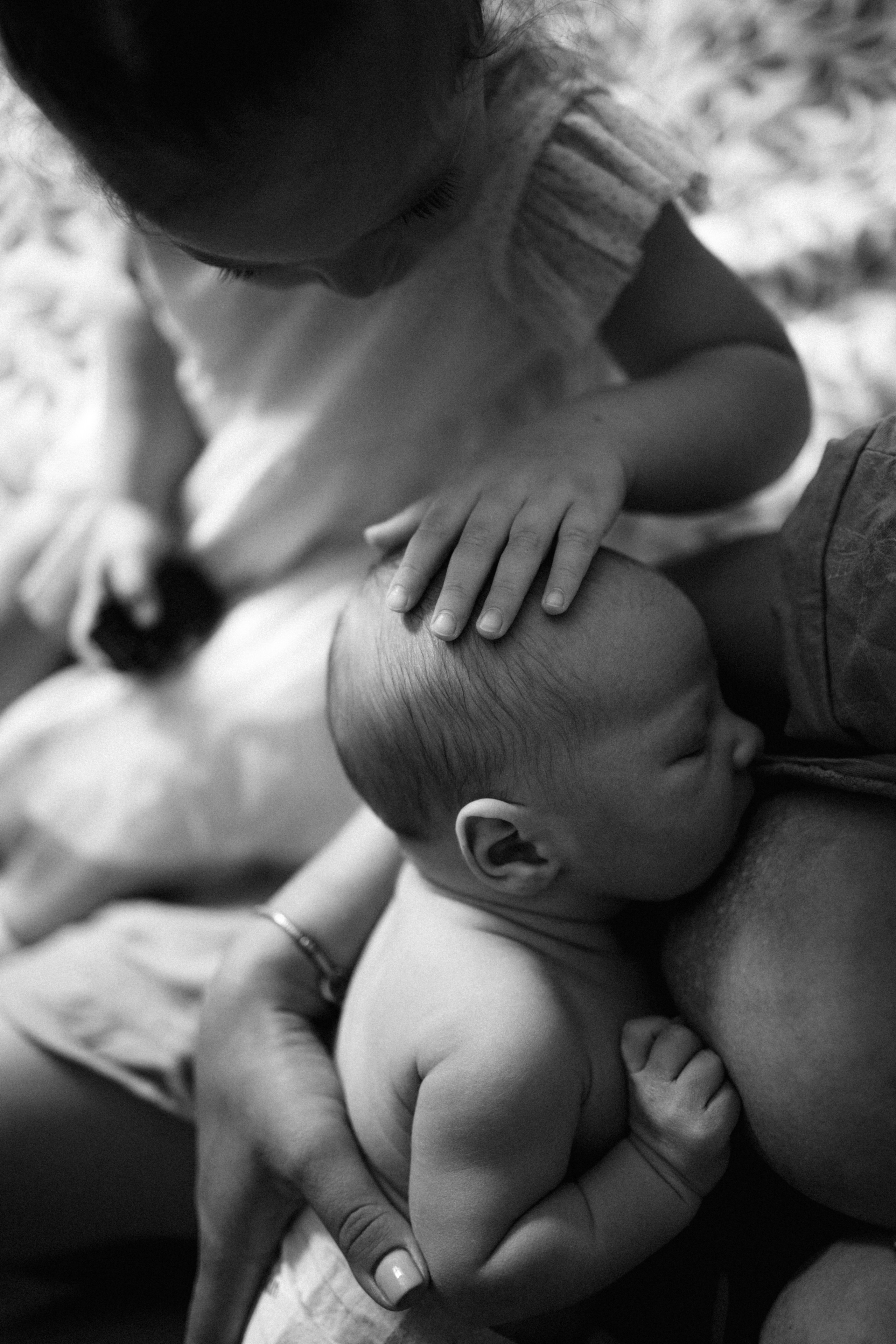 Домашние. Главная