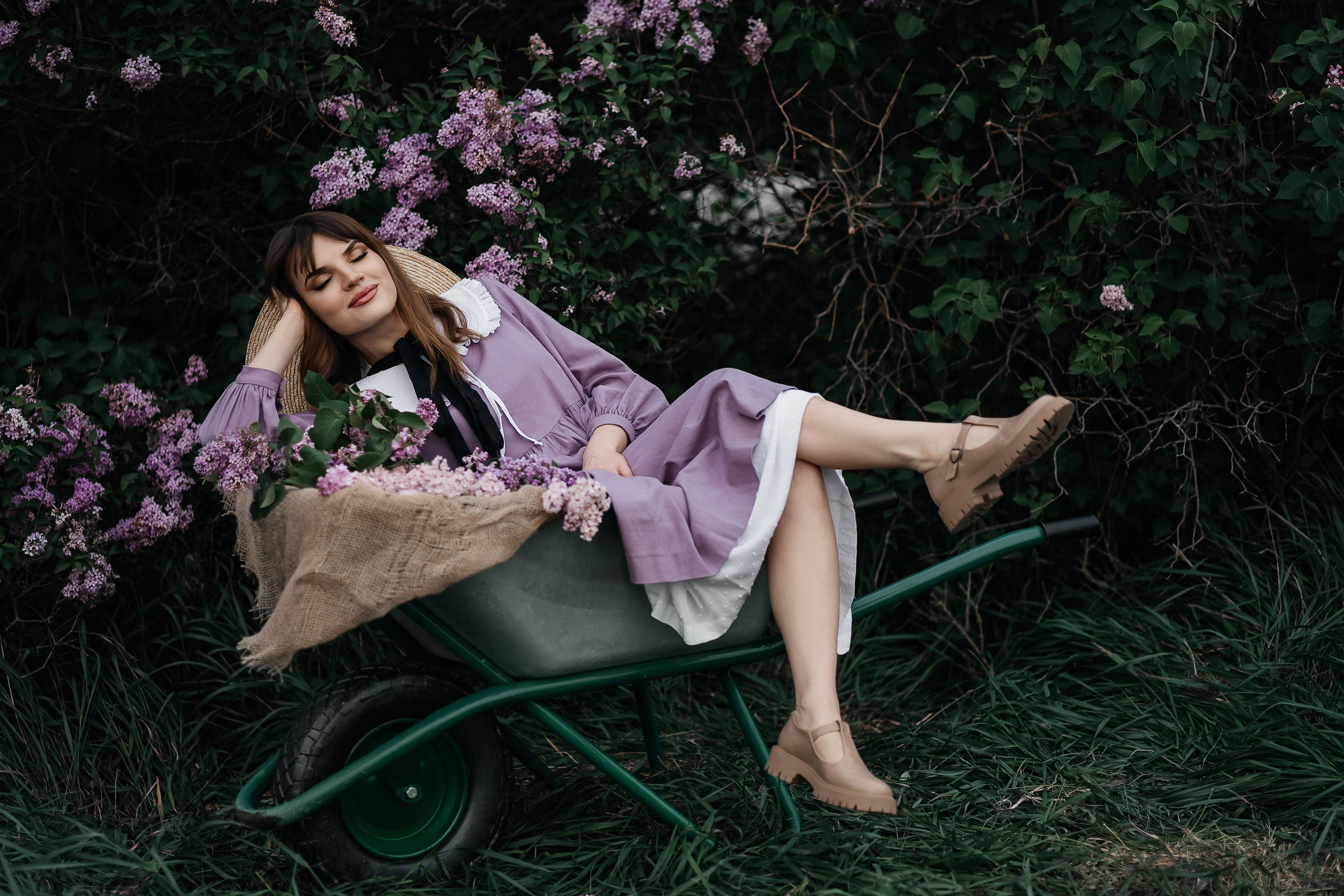 Сирень. Фотограф в Севастополе — Евгения Бойко