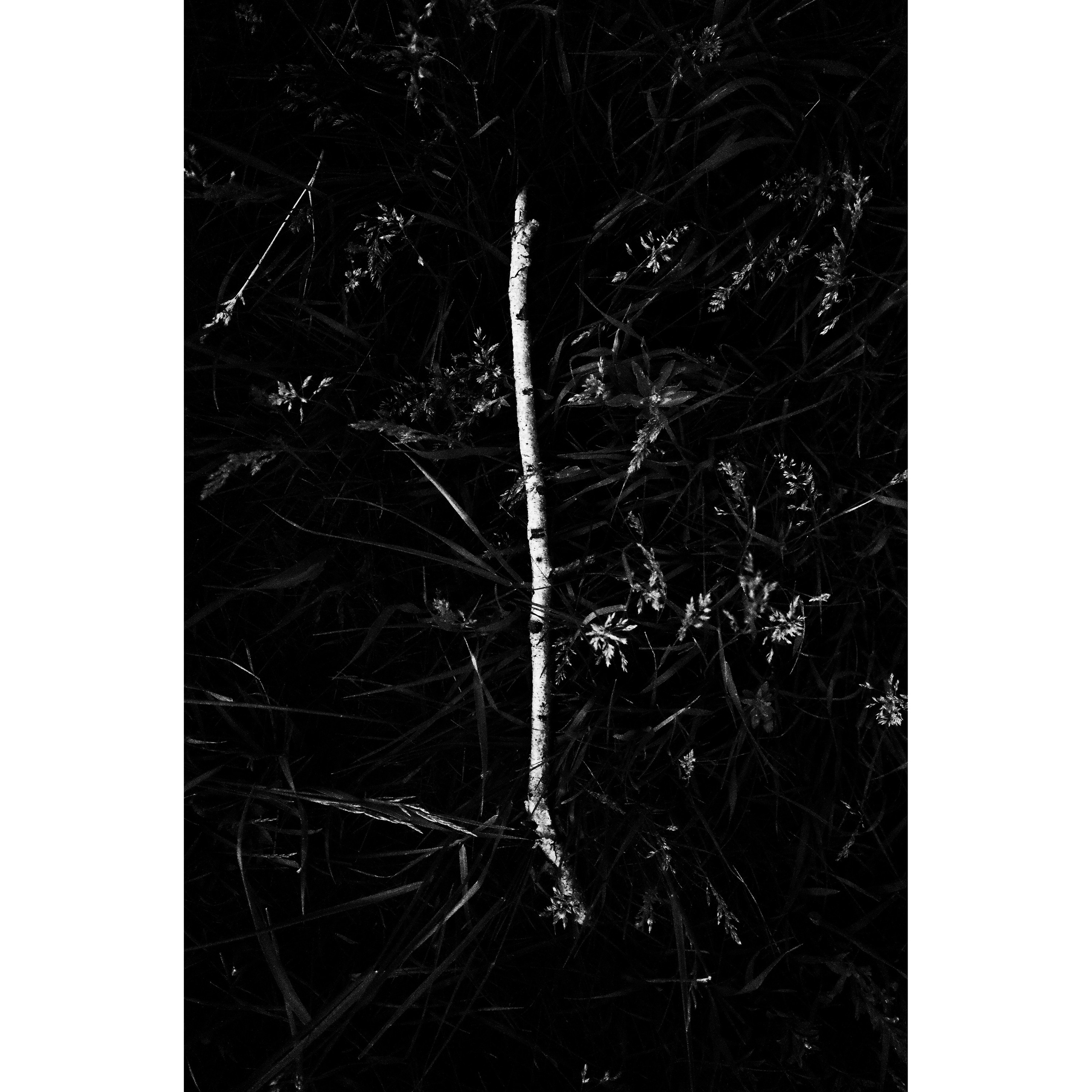 Дощечки. Полиптихи разных лет. Артём Линейцев, фотограф