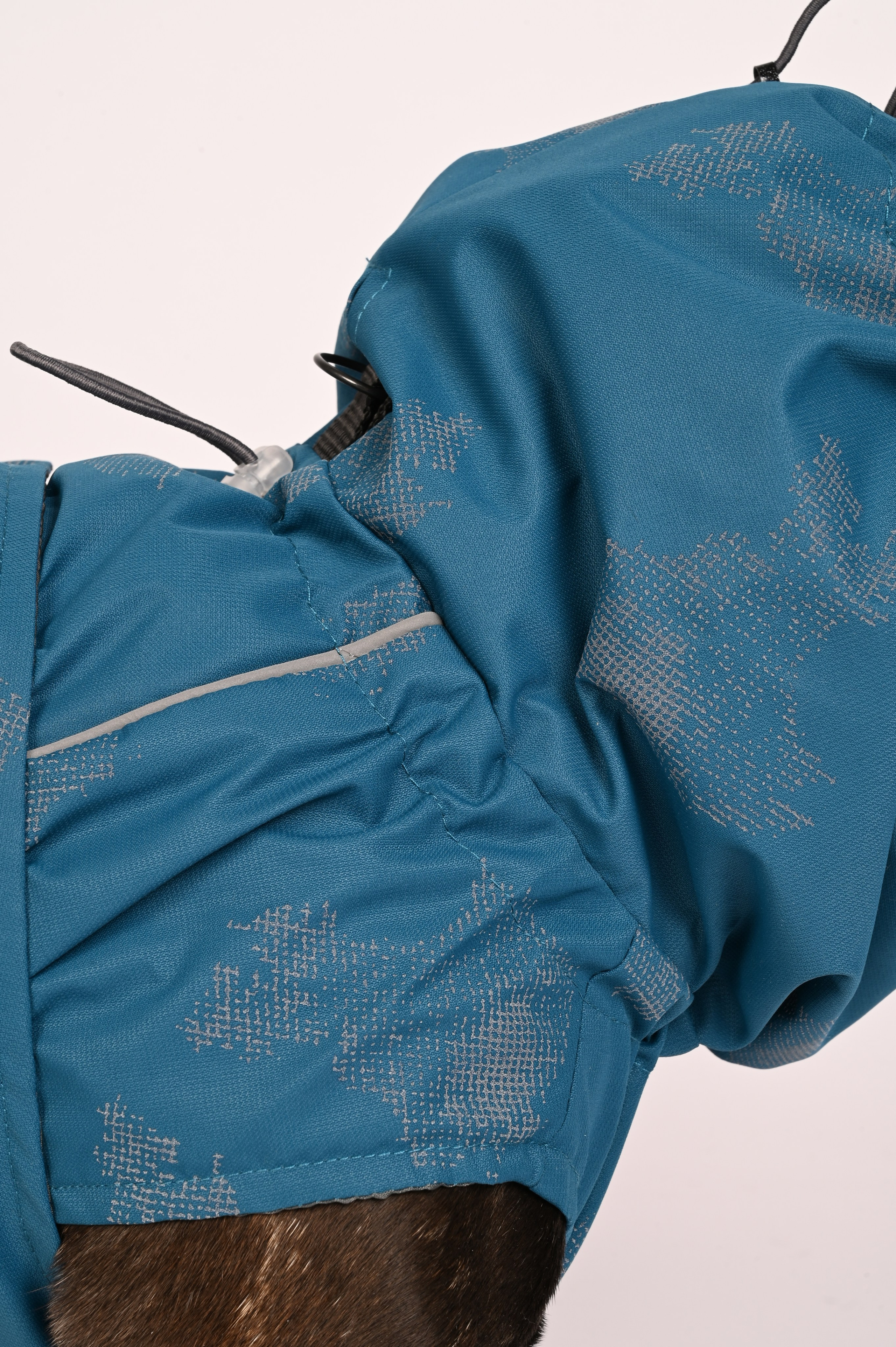 Одежда для собак. Семейный и детский фотограф во Фрязино, Ивантеевке и Щелково Матвеева