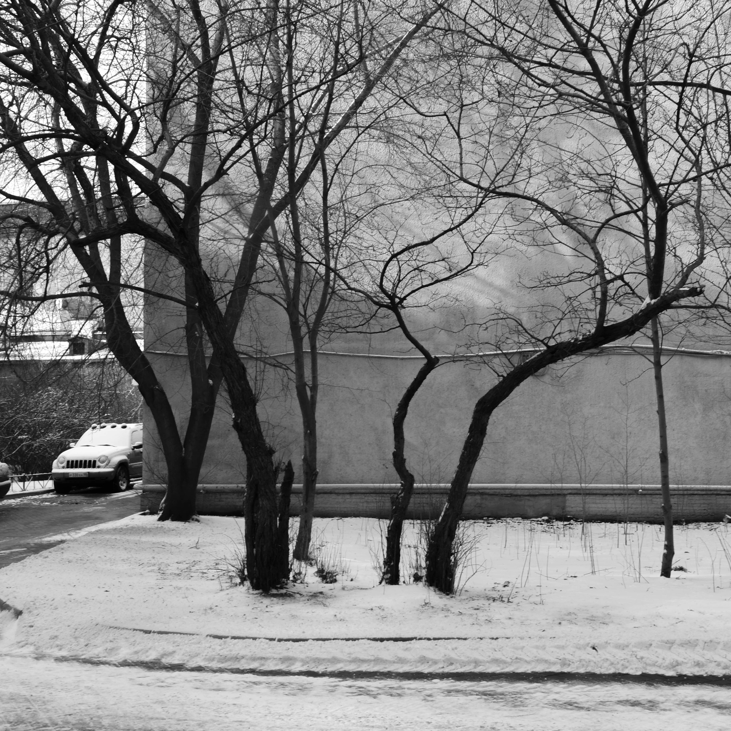 03 14. Shyjungle's Portfolio