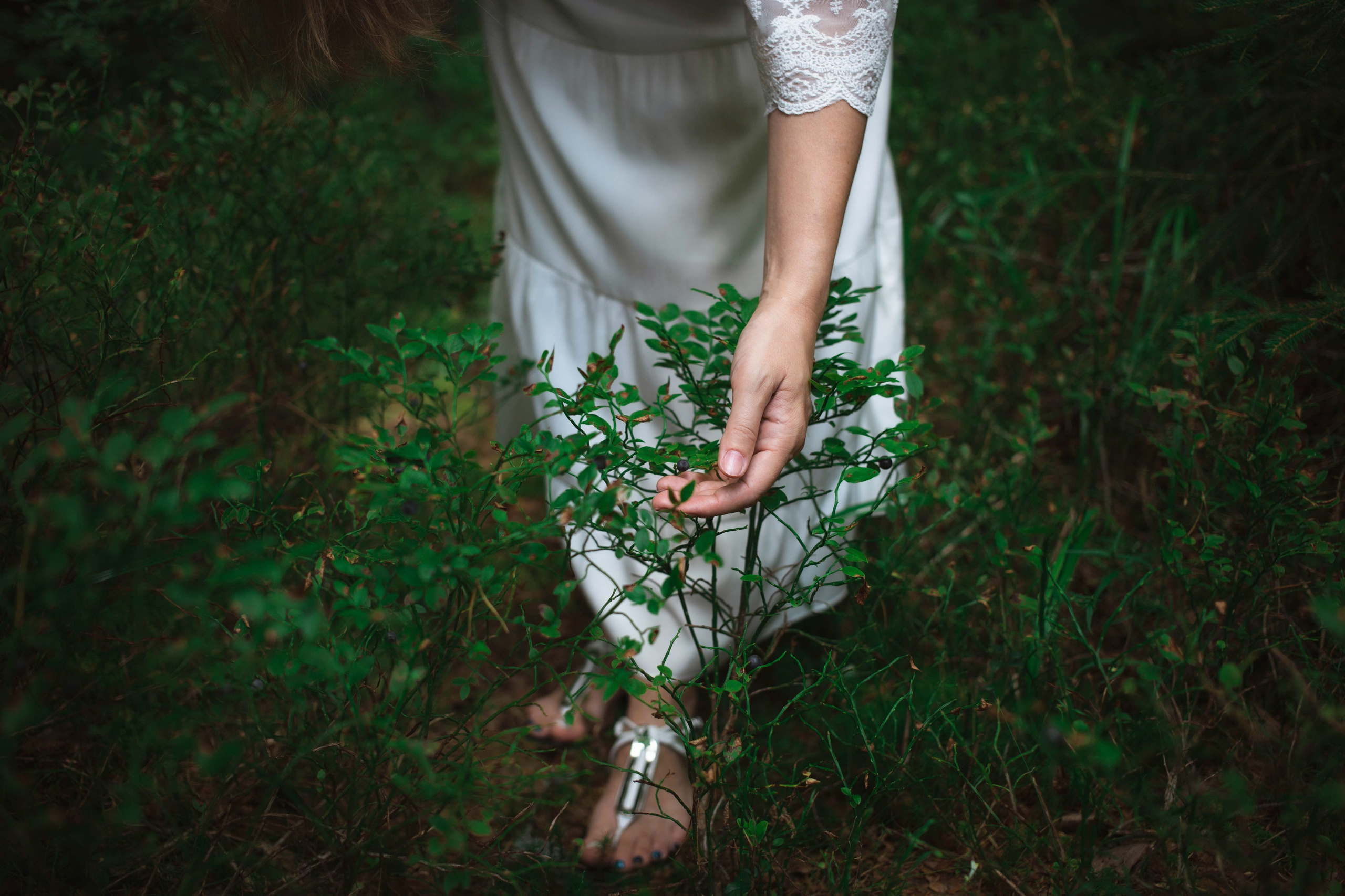 Лесная история: фотопрогулка на природе в Санкт-Петербурге. Портретные фотосессии, контент-съемки, репортаж