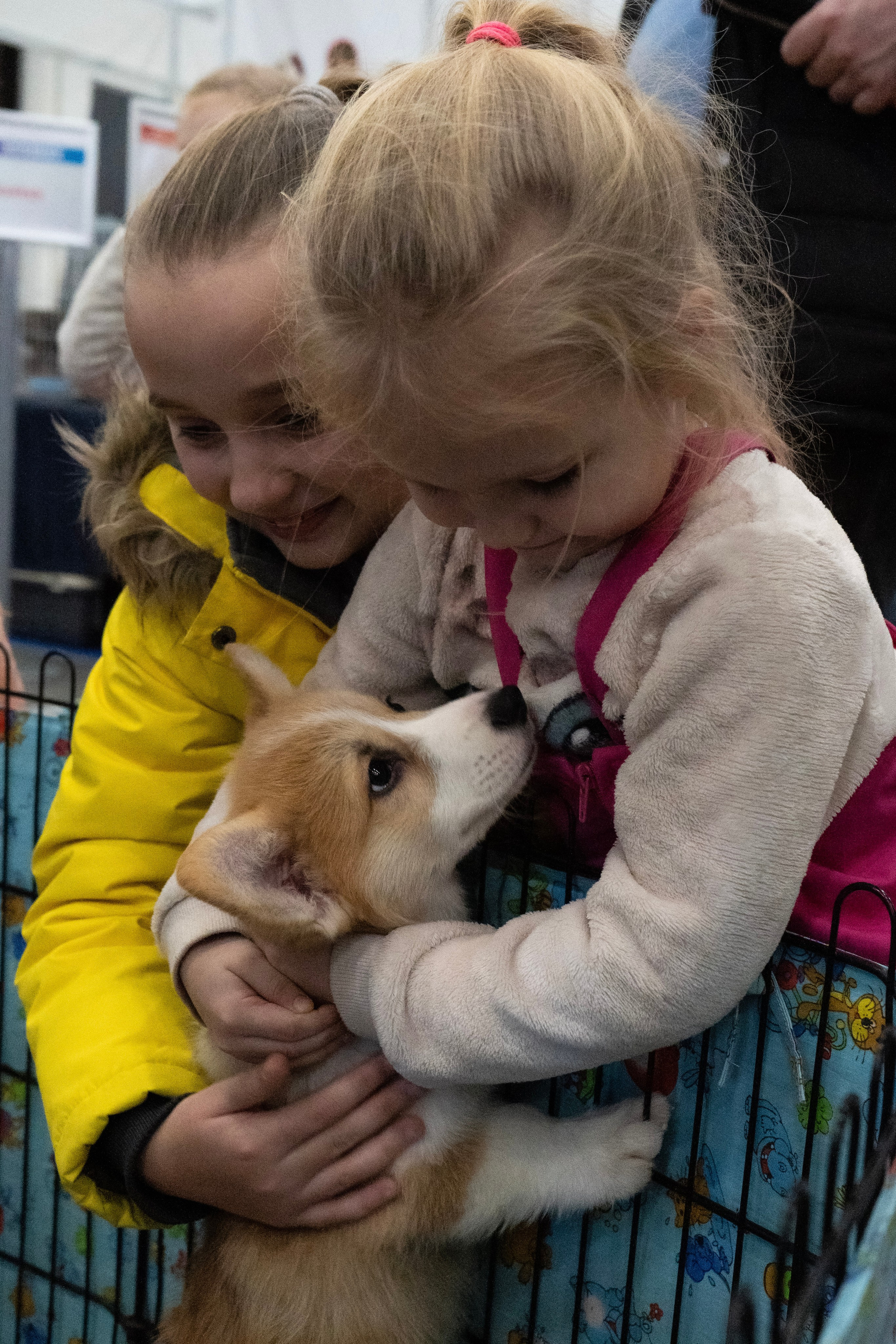 Фотосессии Пушистиков. Фотограф в Санкт-Петербурге Виктория Барышникова