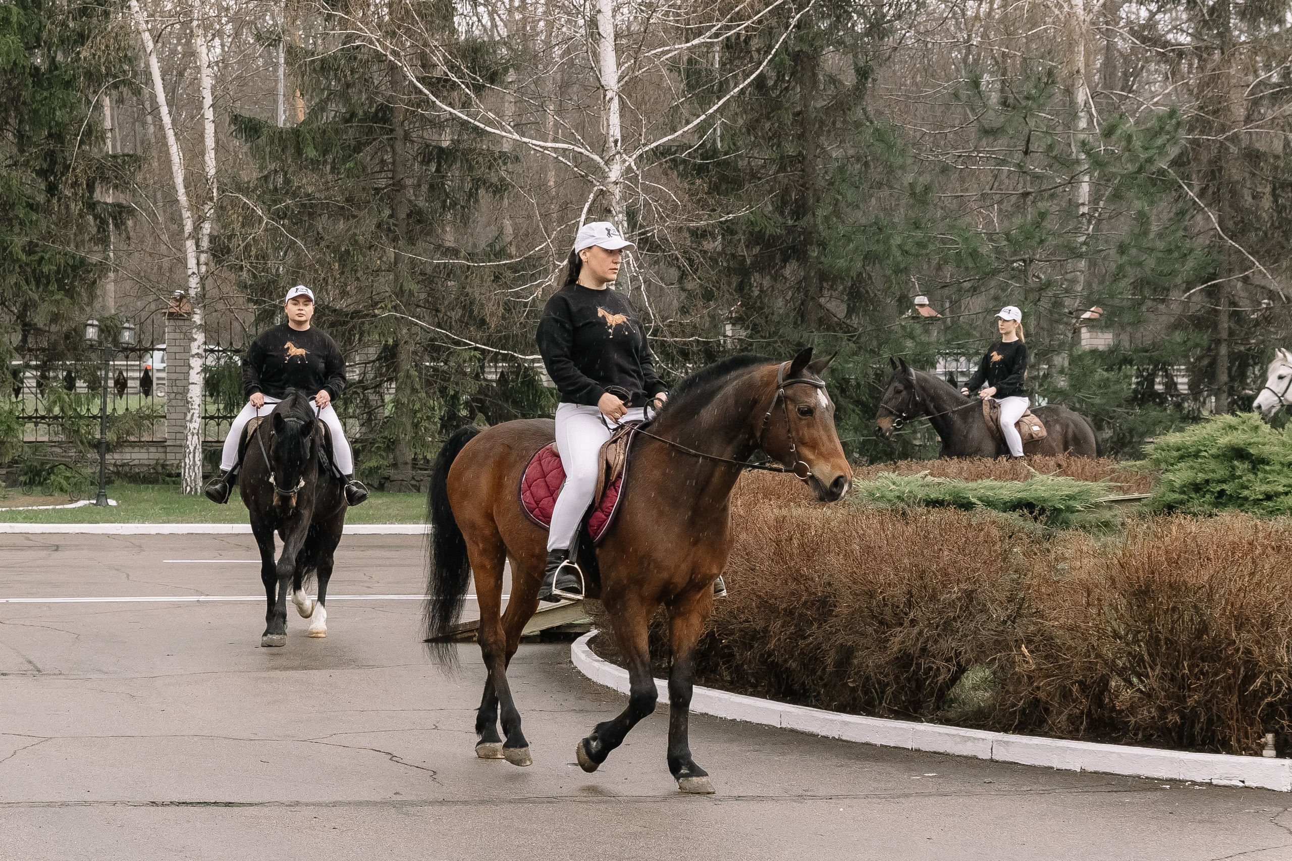День Орловского рысака. Парк-отель Яр. Свадебный, репортажный фотограф Ирина Шкурина