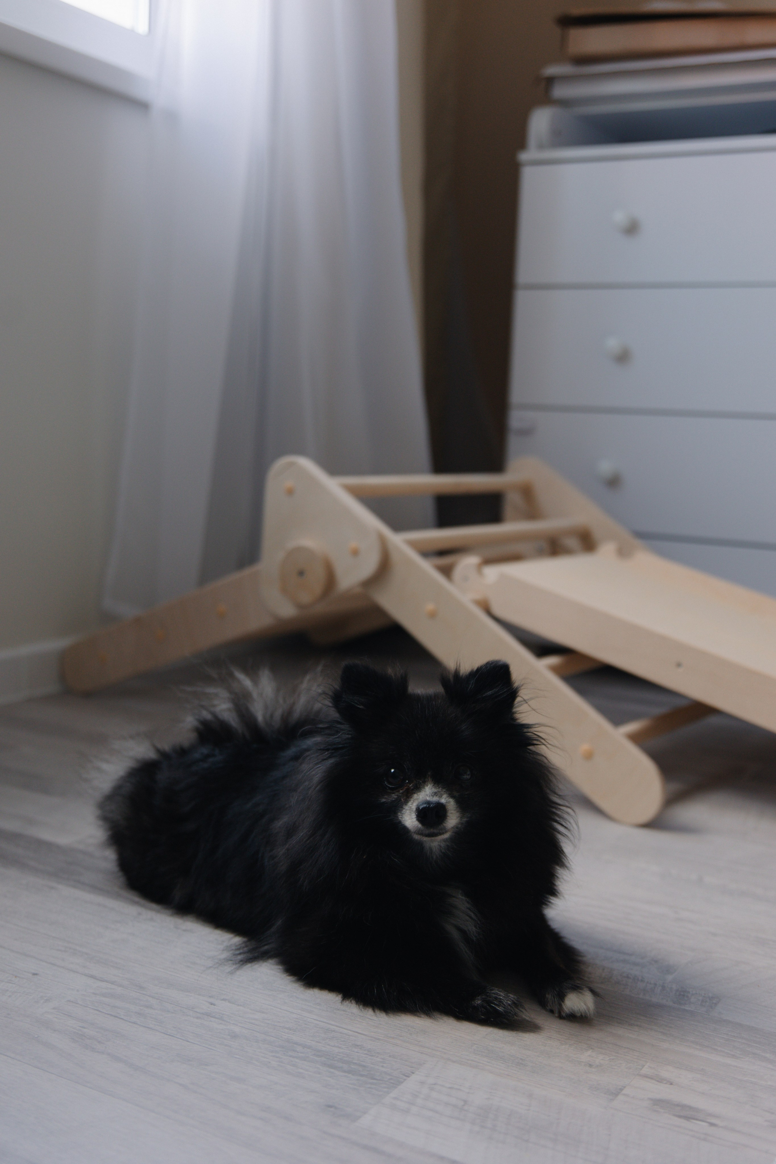 Veromika. Главная