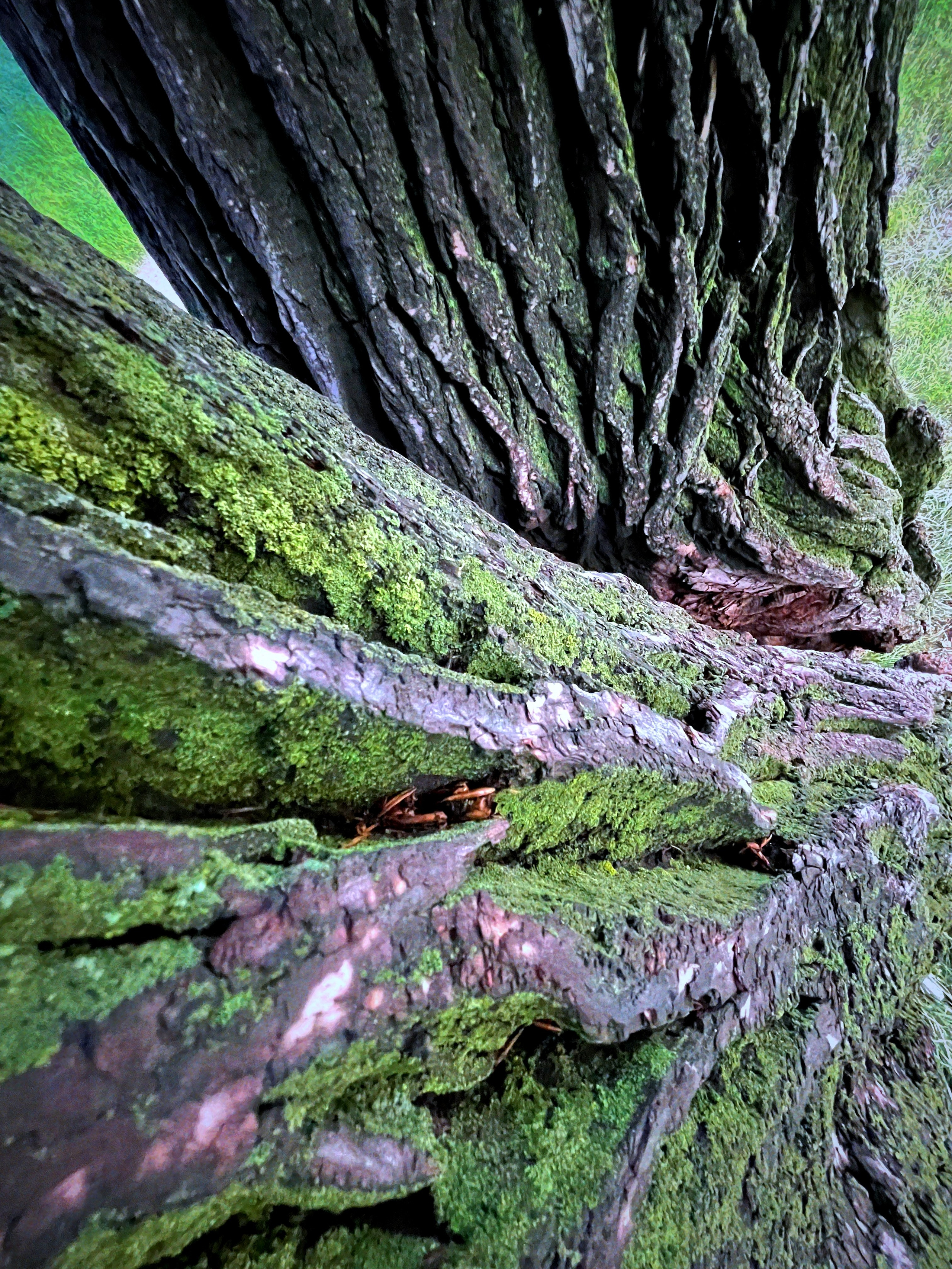 IPhone. Василий Буйлов|Vasilii Builov