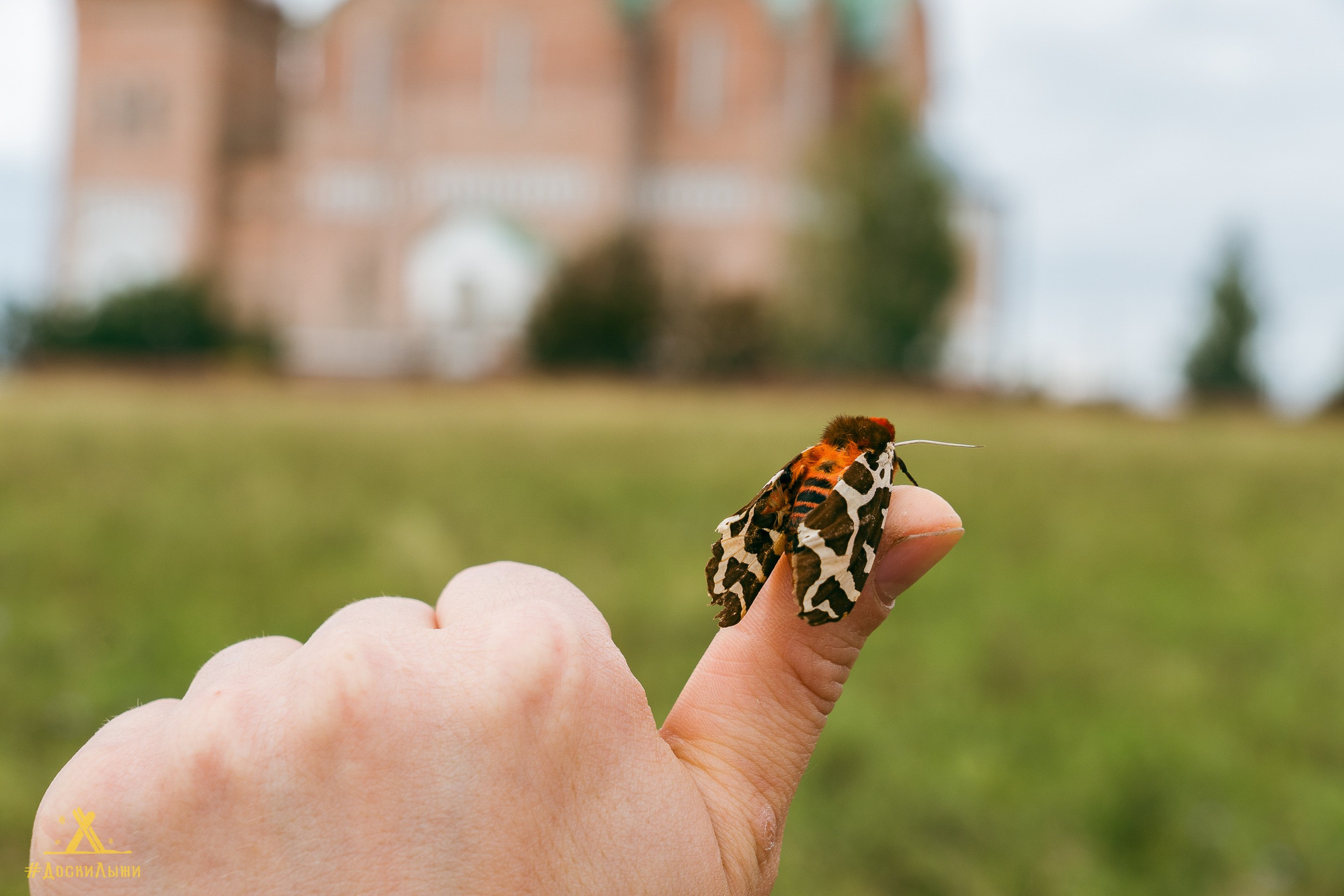 ДОСКИ ЛЫЖИ. Техногенный Урал. Фотограф в Екатеринбурге Яна Круташова