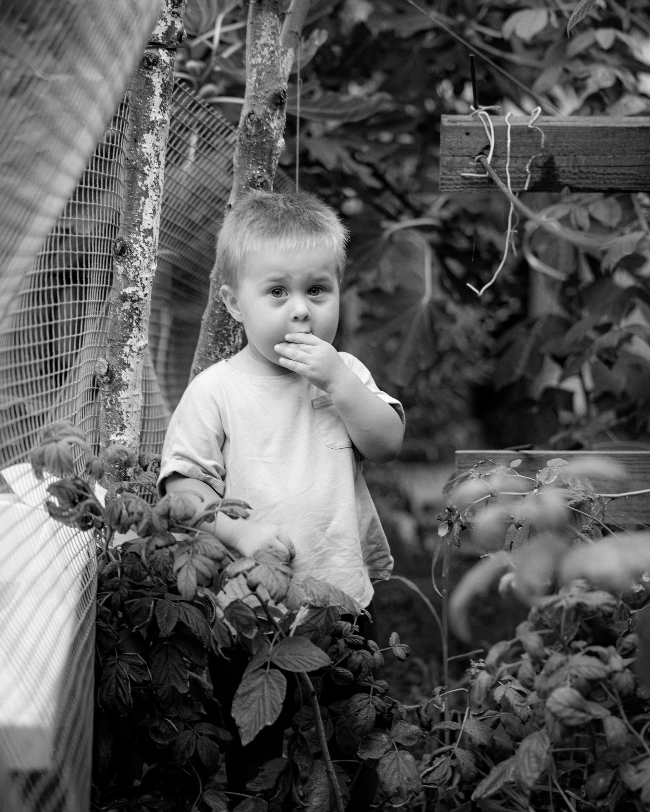 Семейная / пары. Фотограф в Москве Ксения Романова