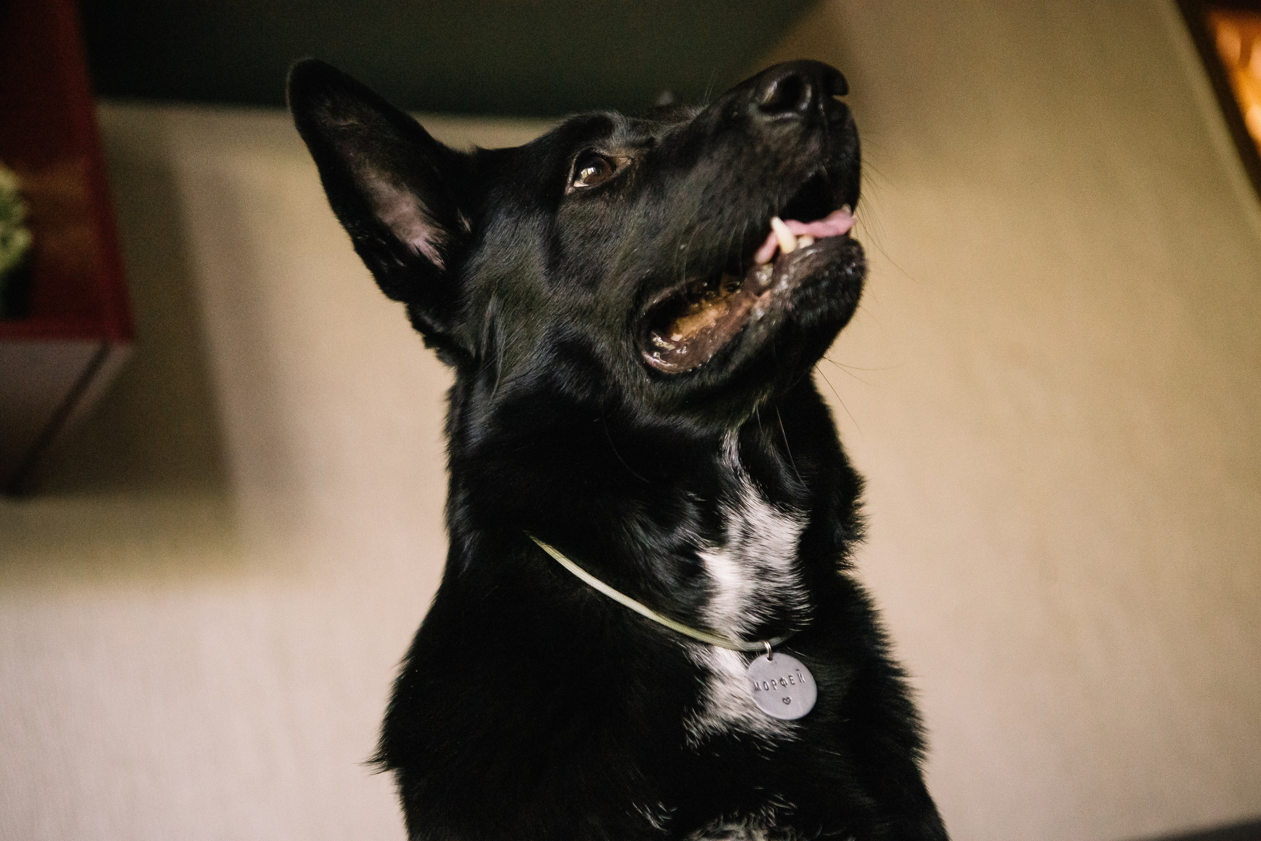 Ира и Морфей. Фотограф Анна Луценко Москва