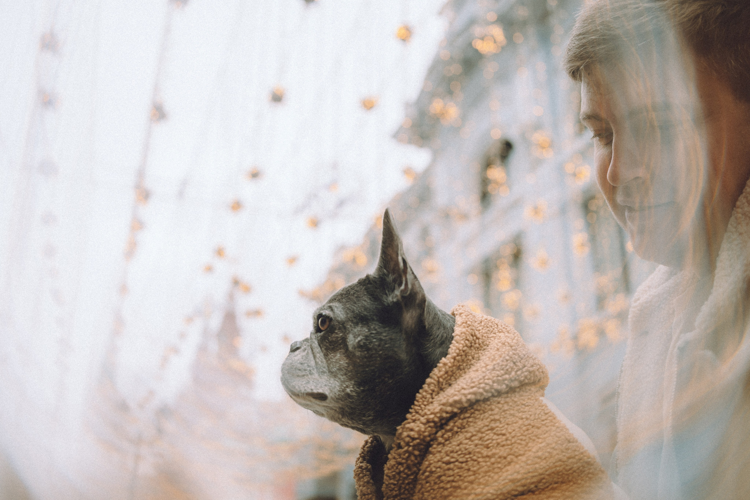 Юля, Вова и Моня