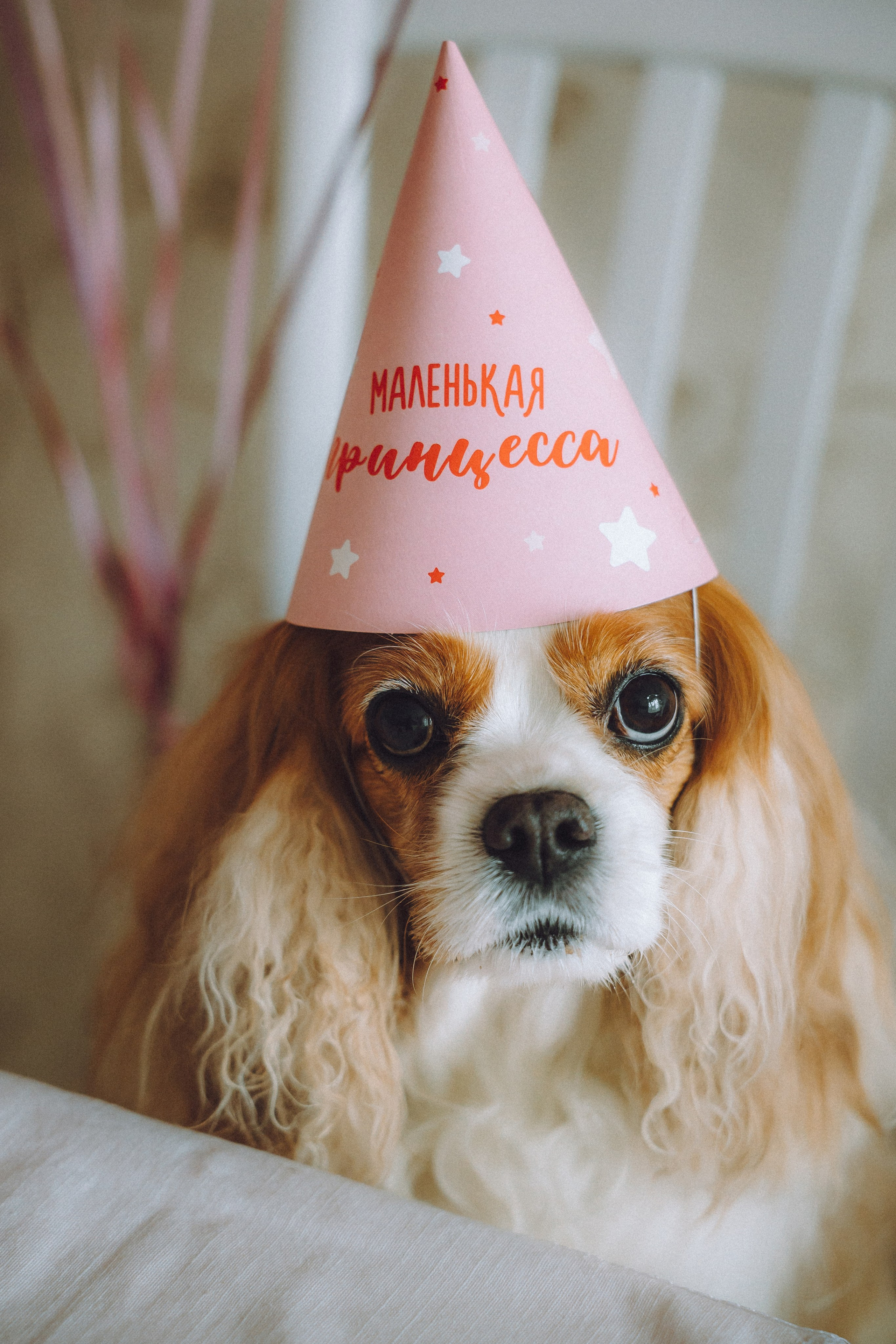 Наташа и Вики