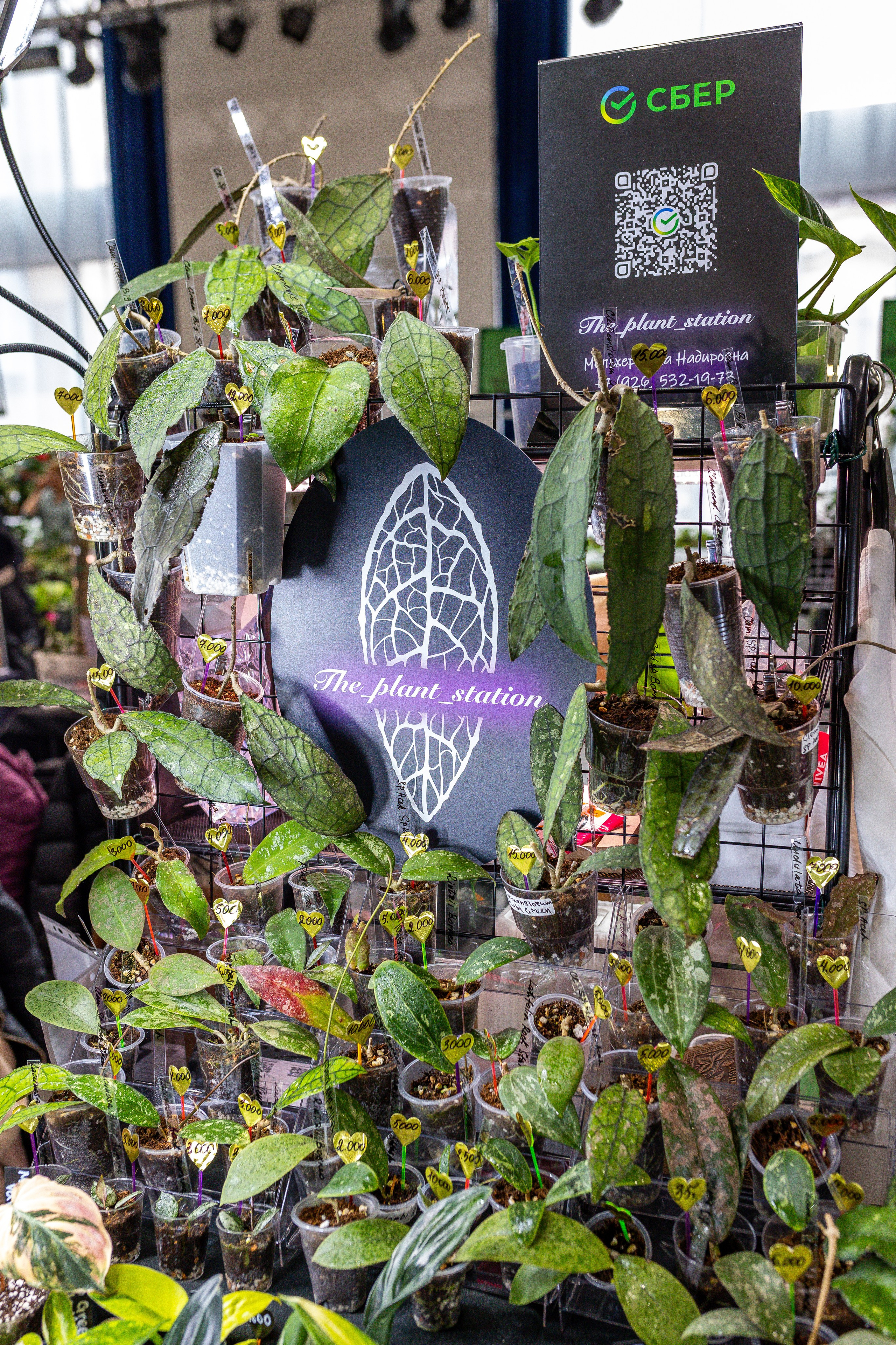 Монстериум апрель 2025. Александра Куликова фотограф, Москва