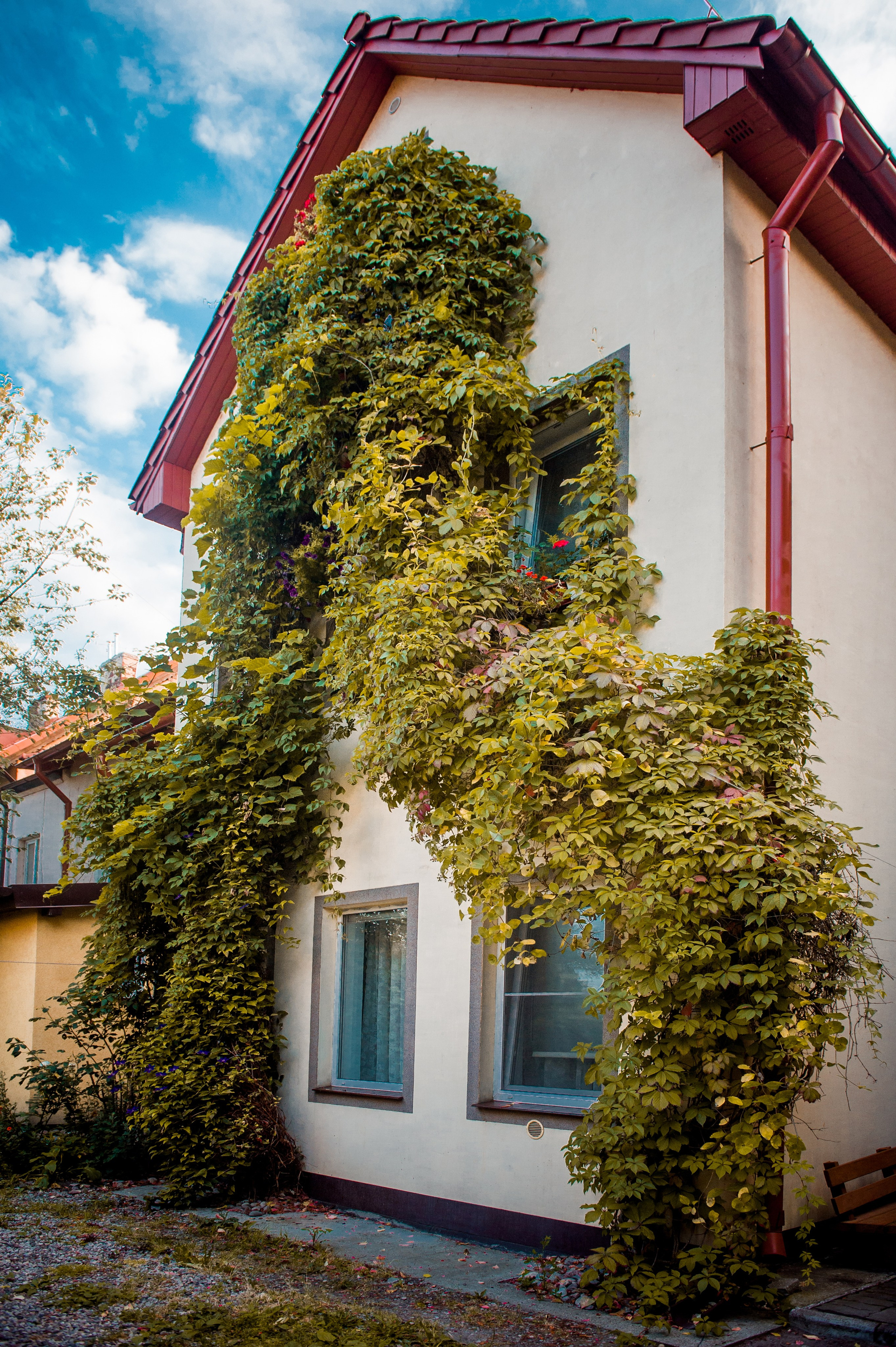 НЕДВИЖКА. Фотограф Вера Демидкова