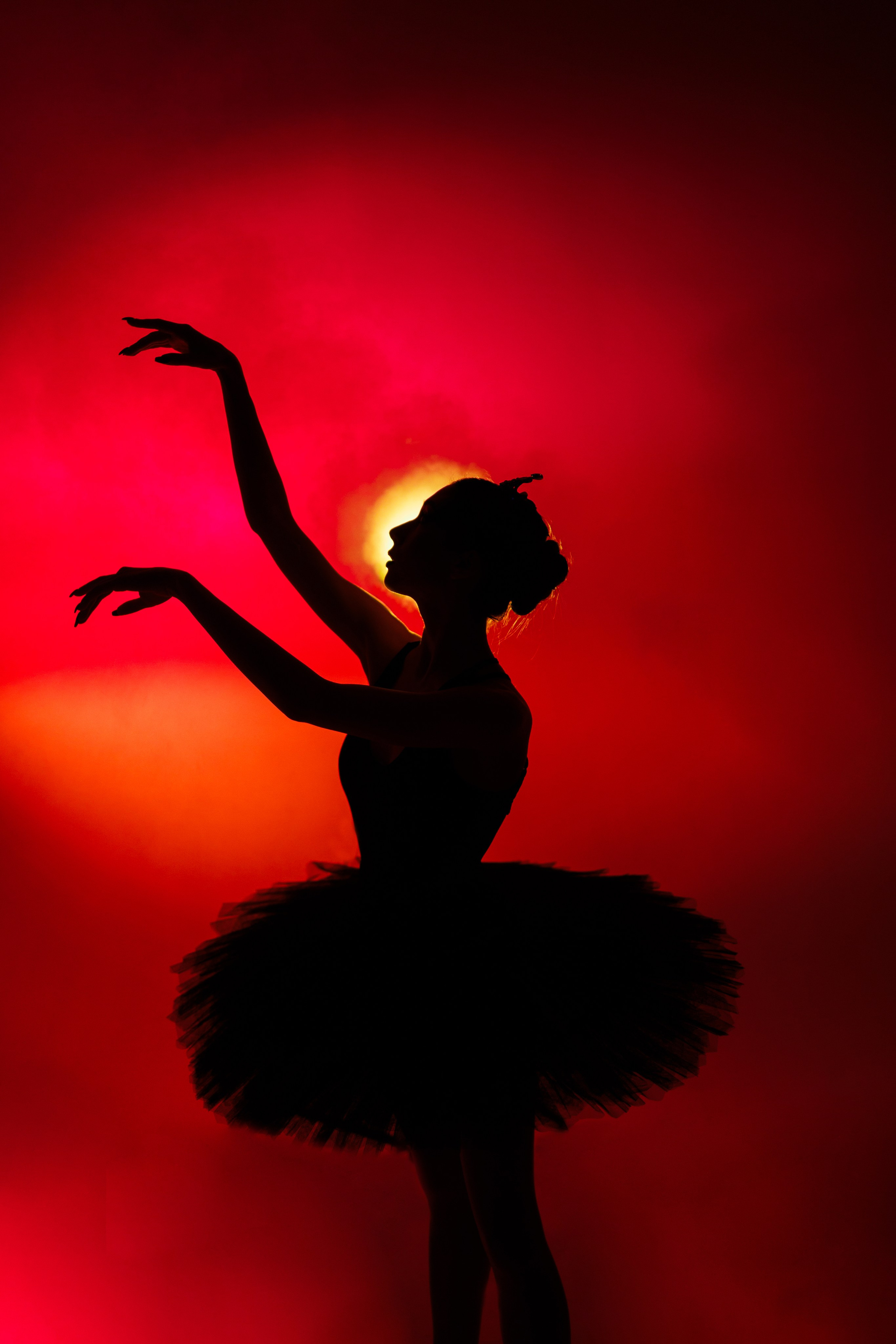 Черный лебедь. Марковкина КрисТина