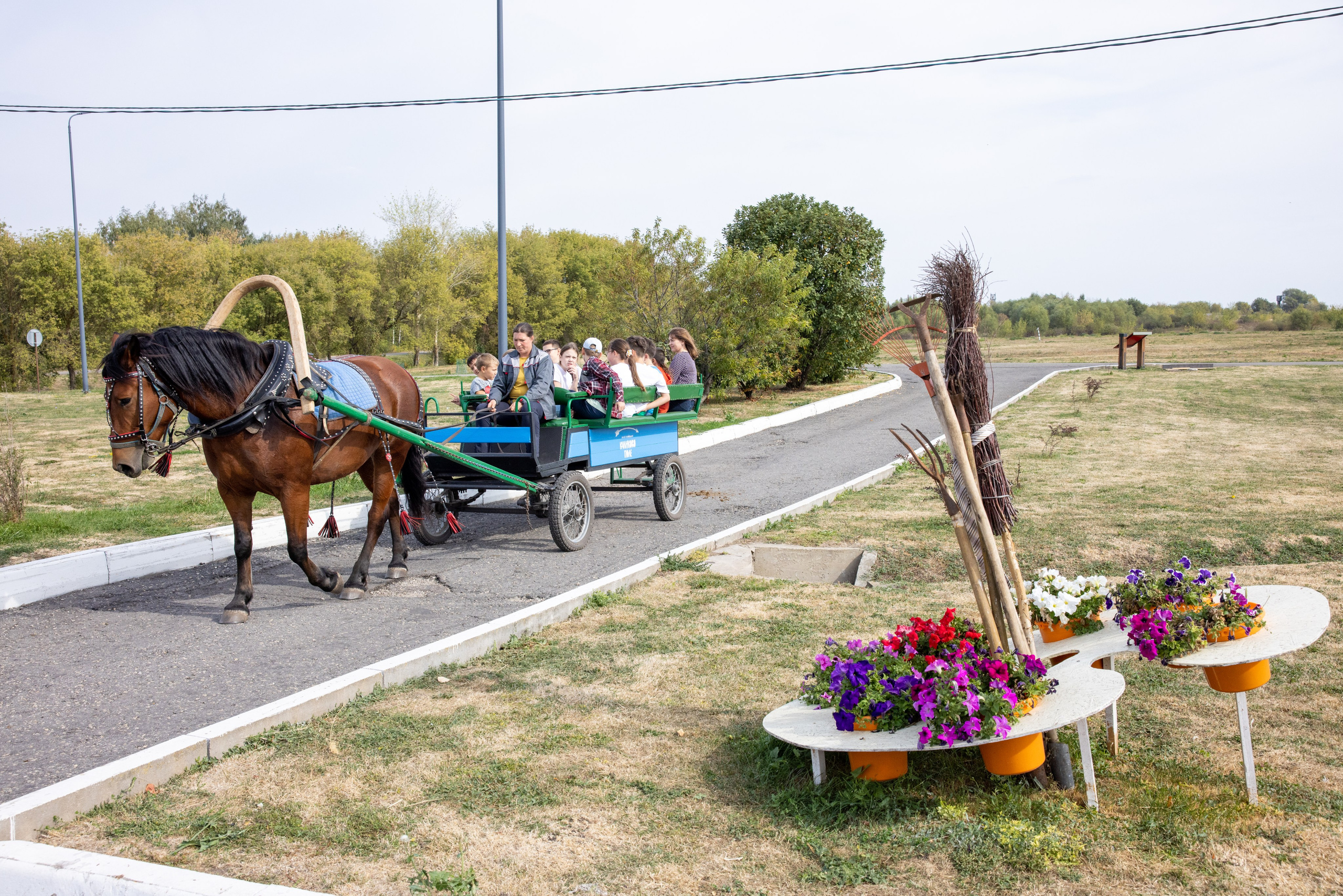 Поездка на поле Кулеково. Фотограф в Туле Крупский АнДРей. Фотостудия «КАДР71» в Туле