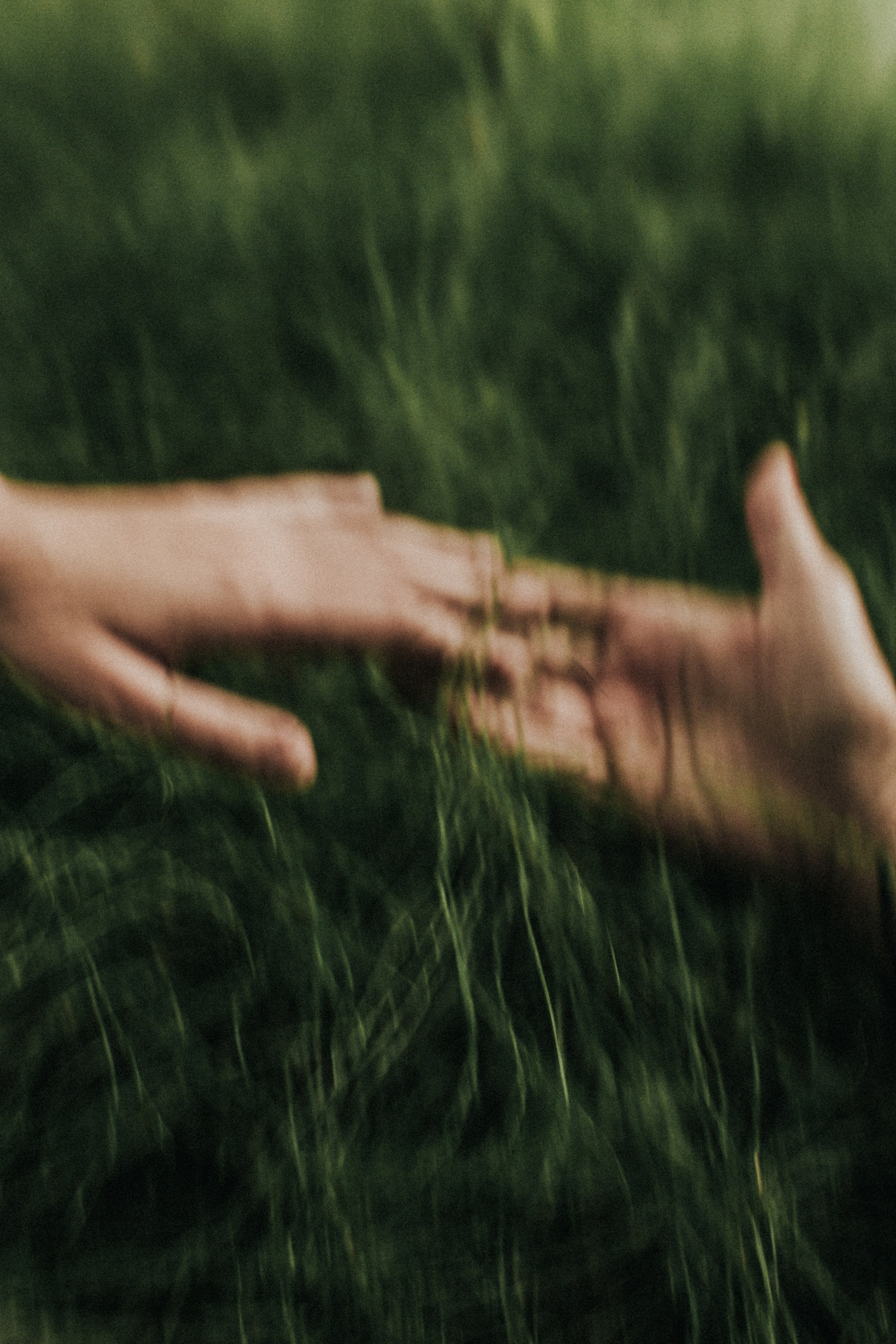 Ирина. Папоротник. Фотограф в Нижнем Новгороде