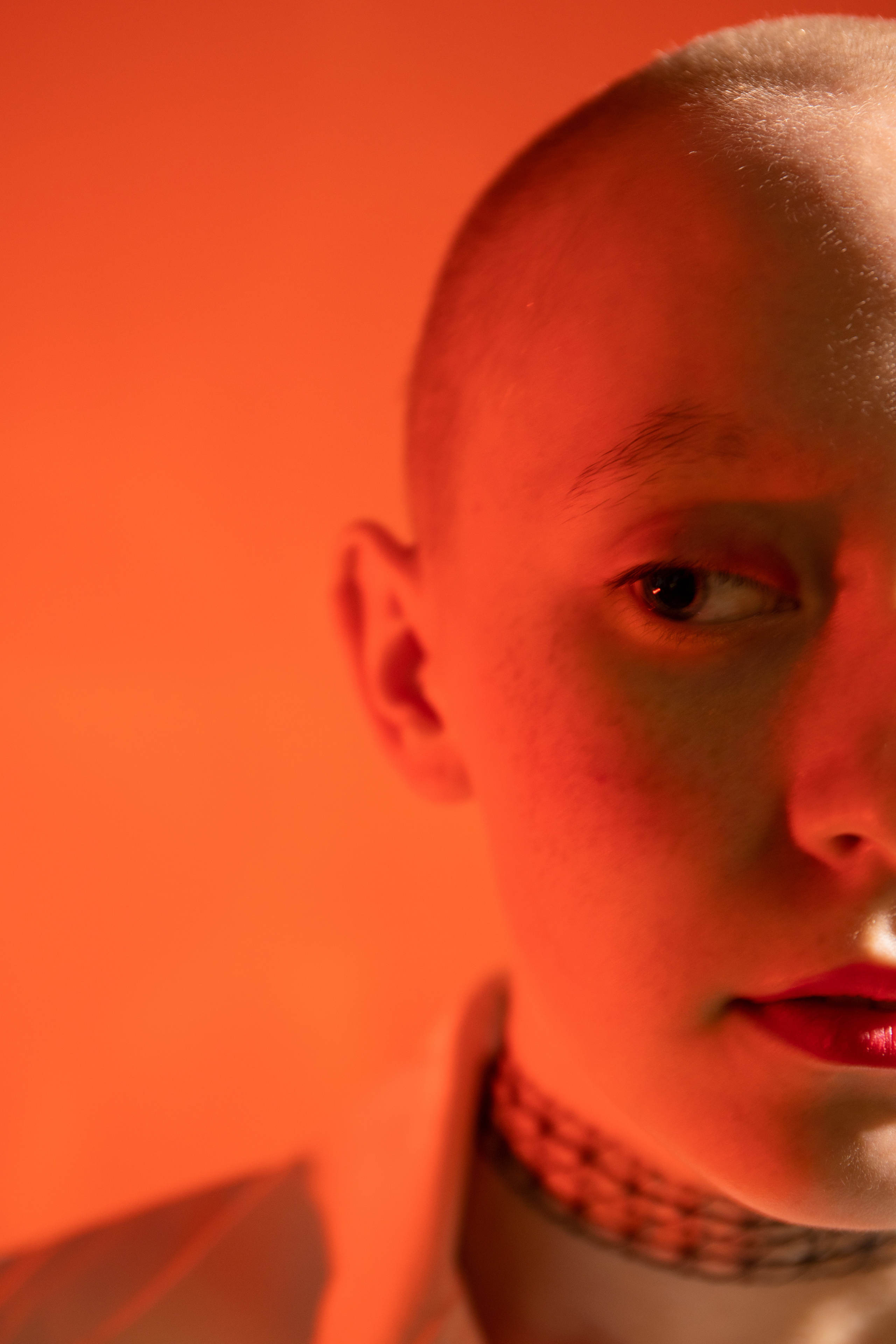 Портрет лысой девушки в цветном свете