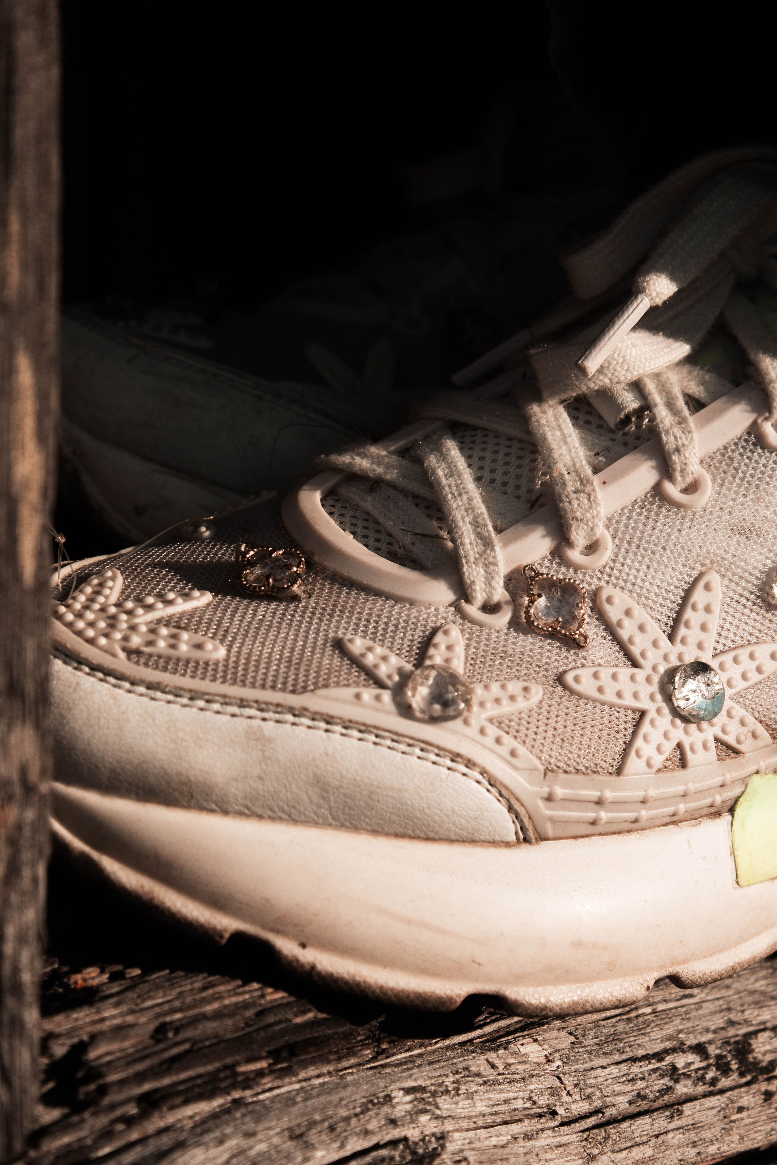 Марина. Карпогоры, Санкт-Петербург