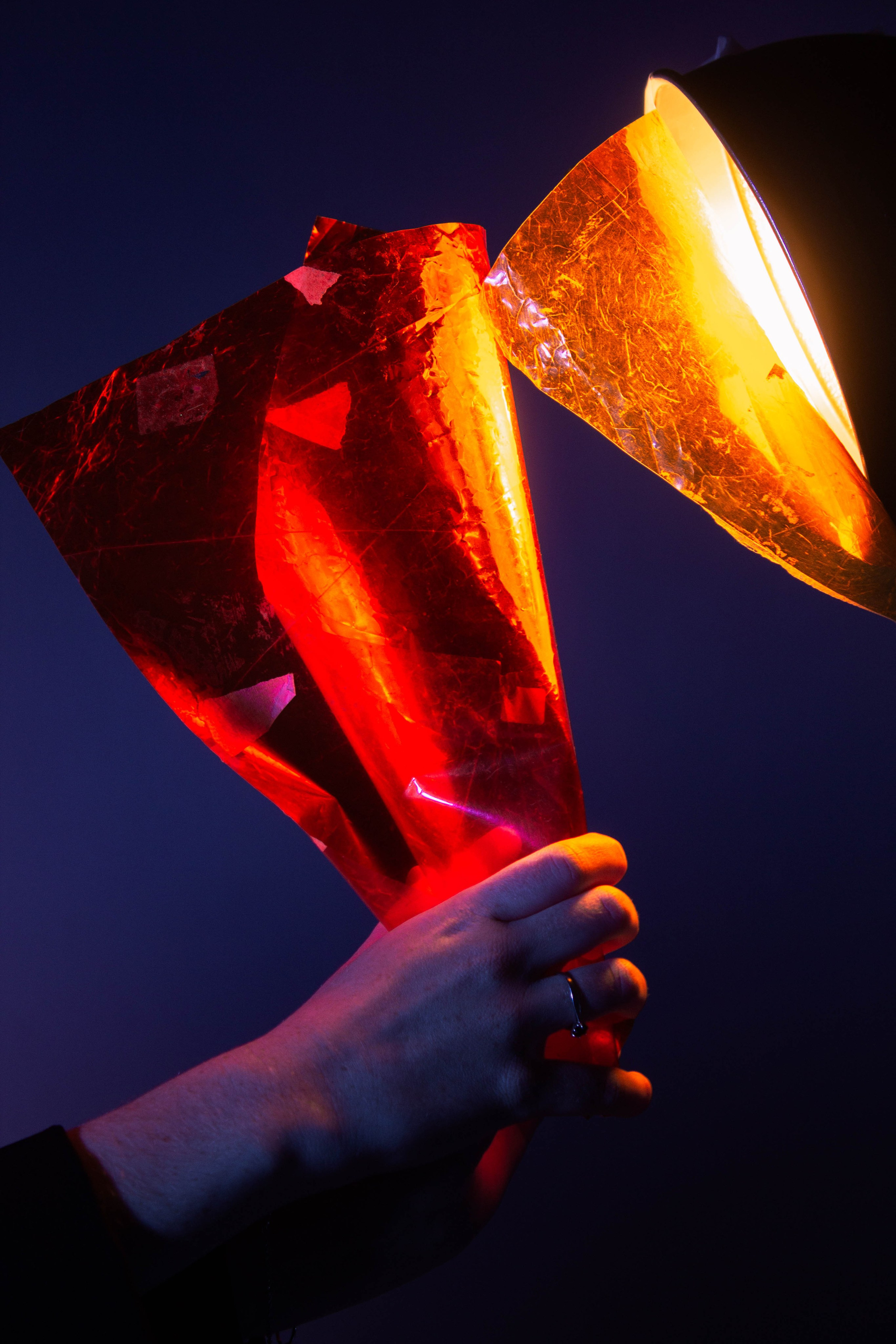 Вика. Карпогоры, Санкт-Петербург