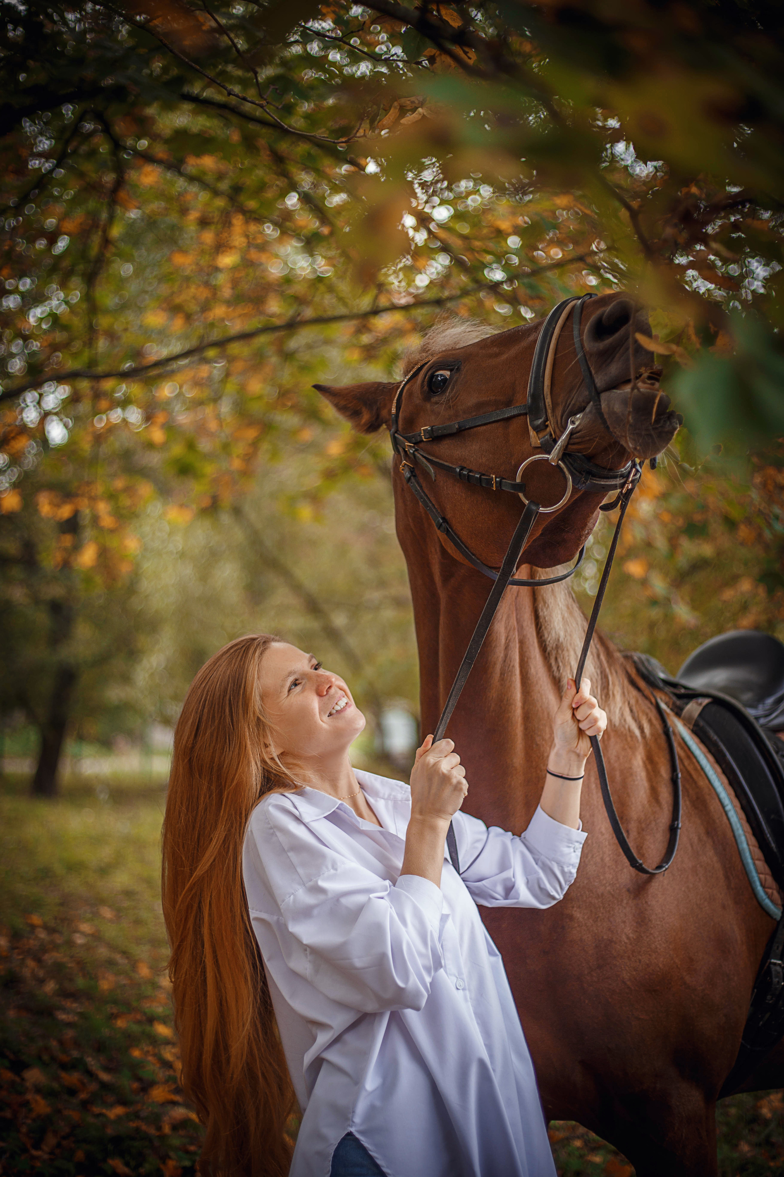 Прогулки на лошадях. Фотограф в Санкт-Петербурге