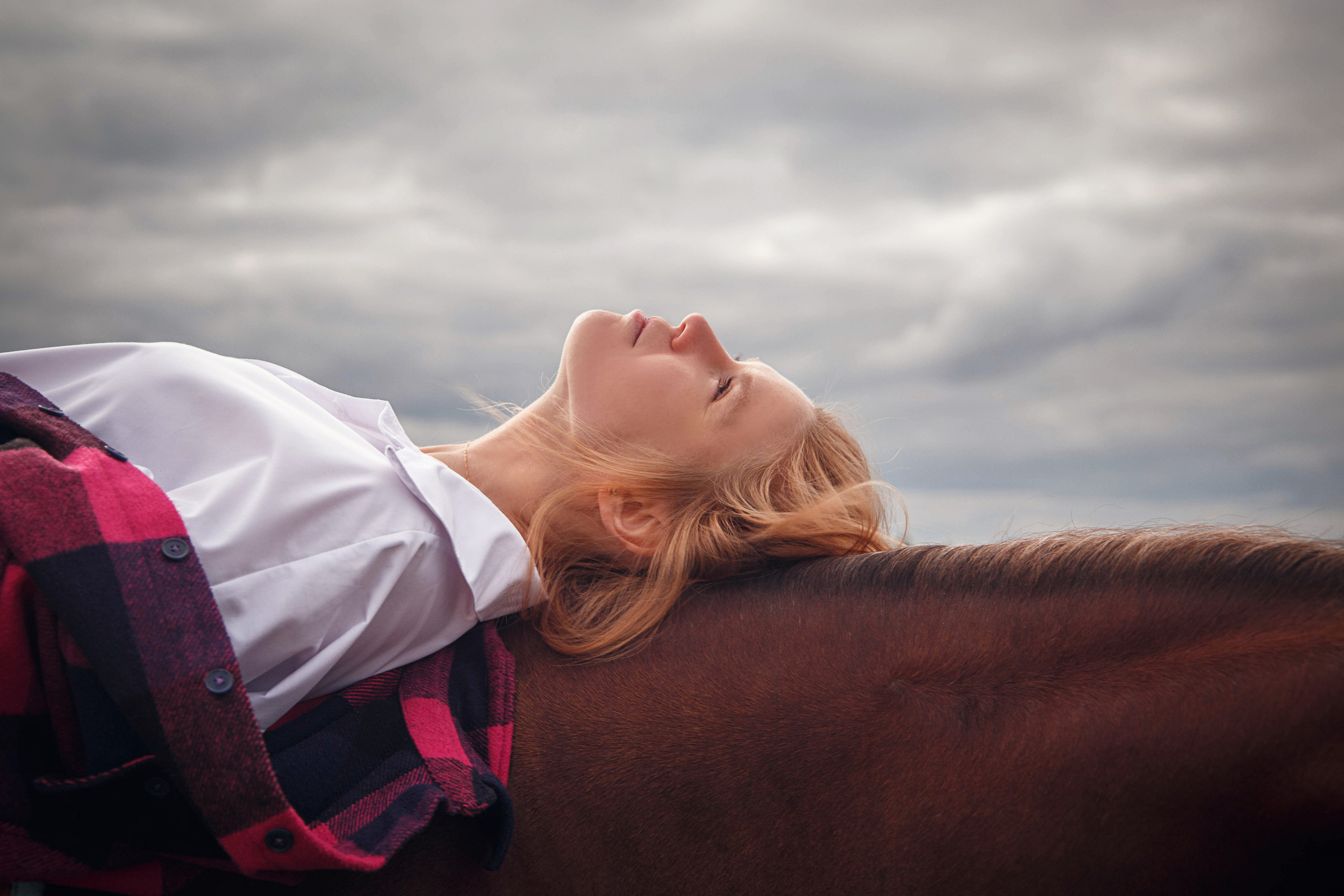 Прогулки на лошадях. Фотограф в Санкт-Петербурге