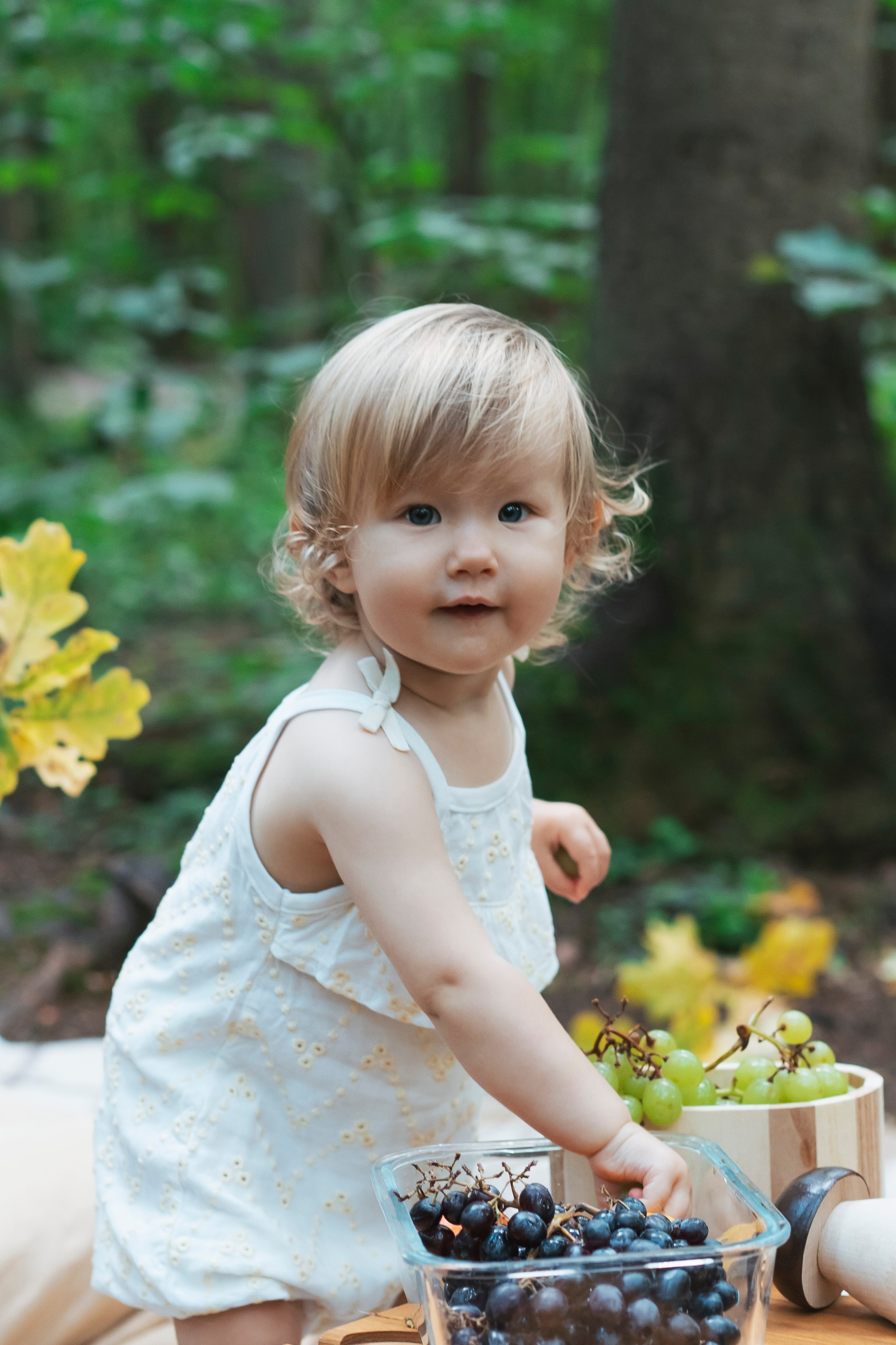 Осень в лесу. Brand photographer