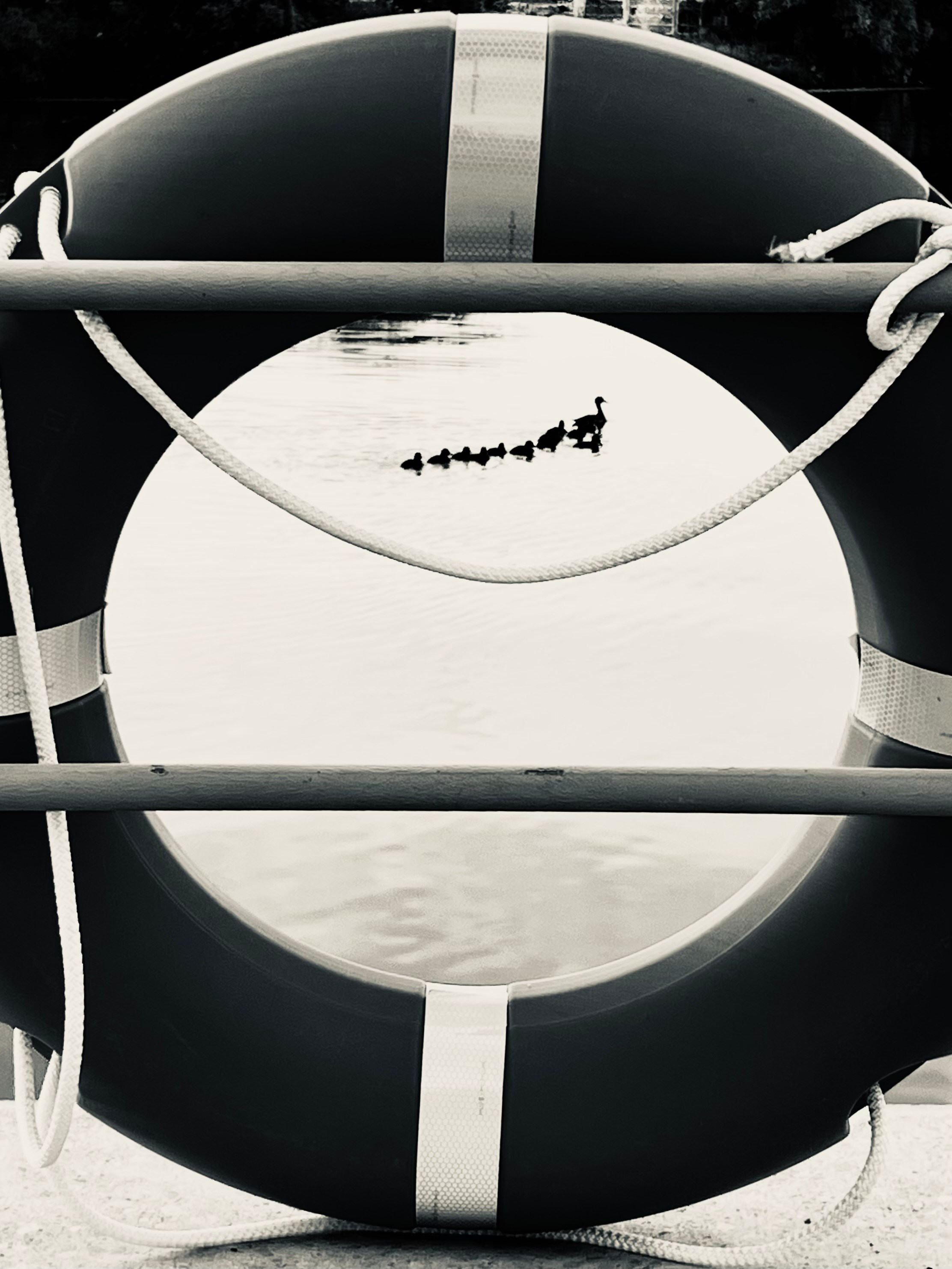 2022. Марфин. Фотограф