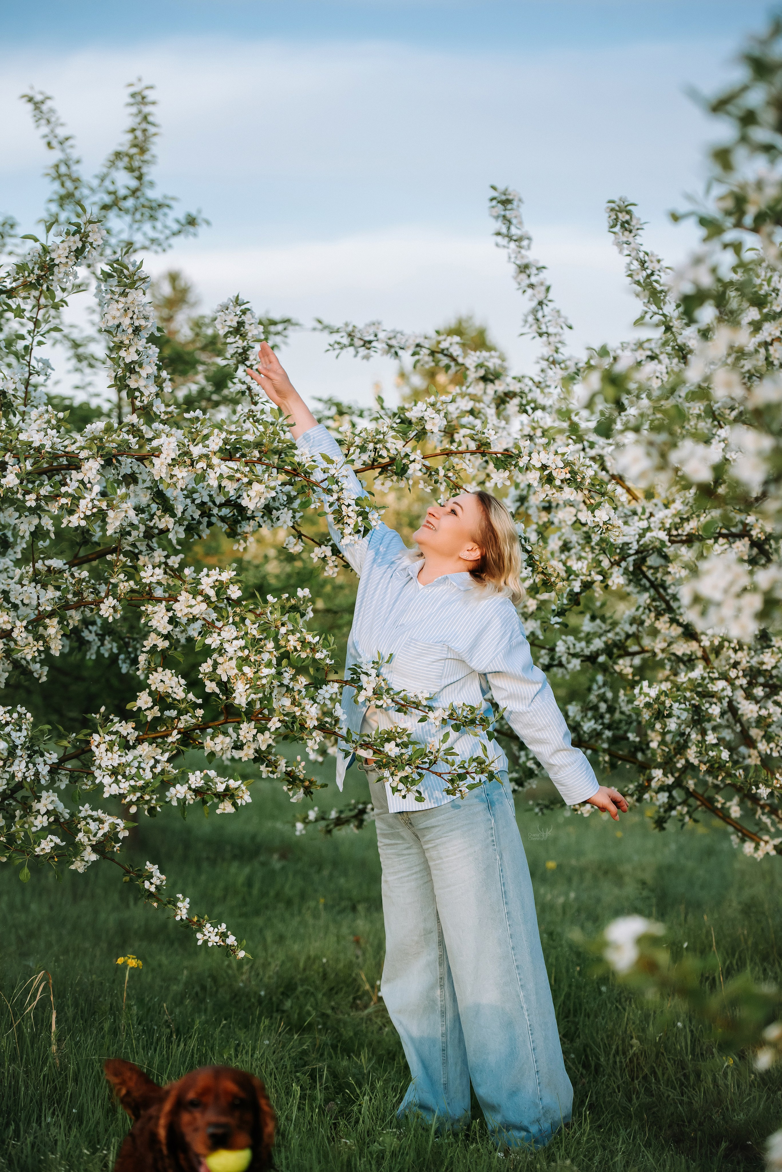 Фотопрогулка с питомцами. Фотограф Диана Оленина Красноярск / Братск