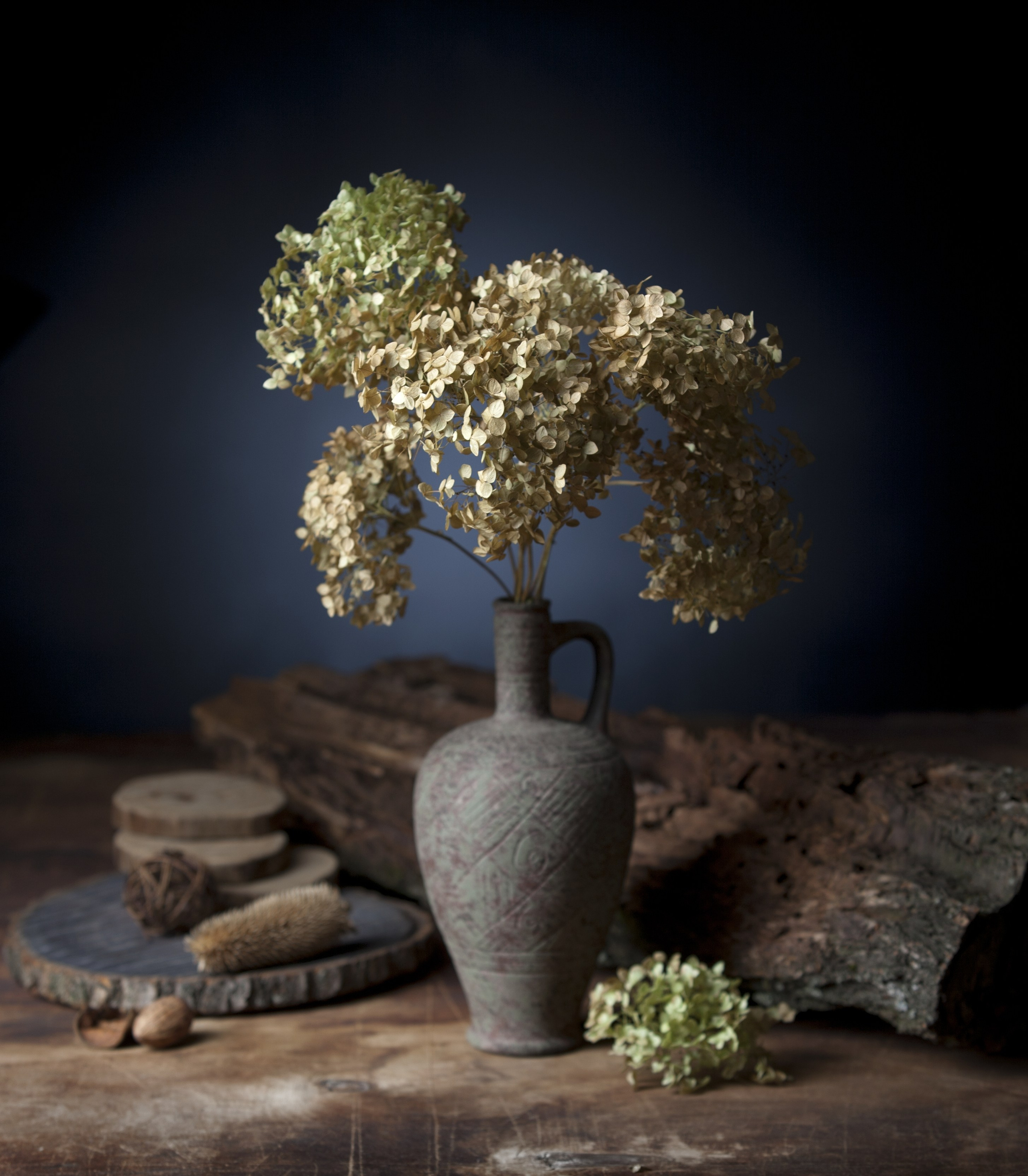 Цветы. Фотограф Мария Кольцова