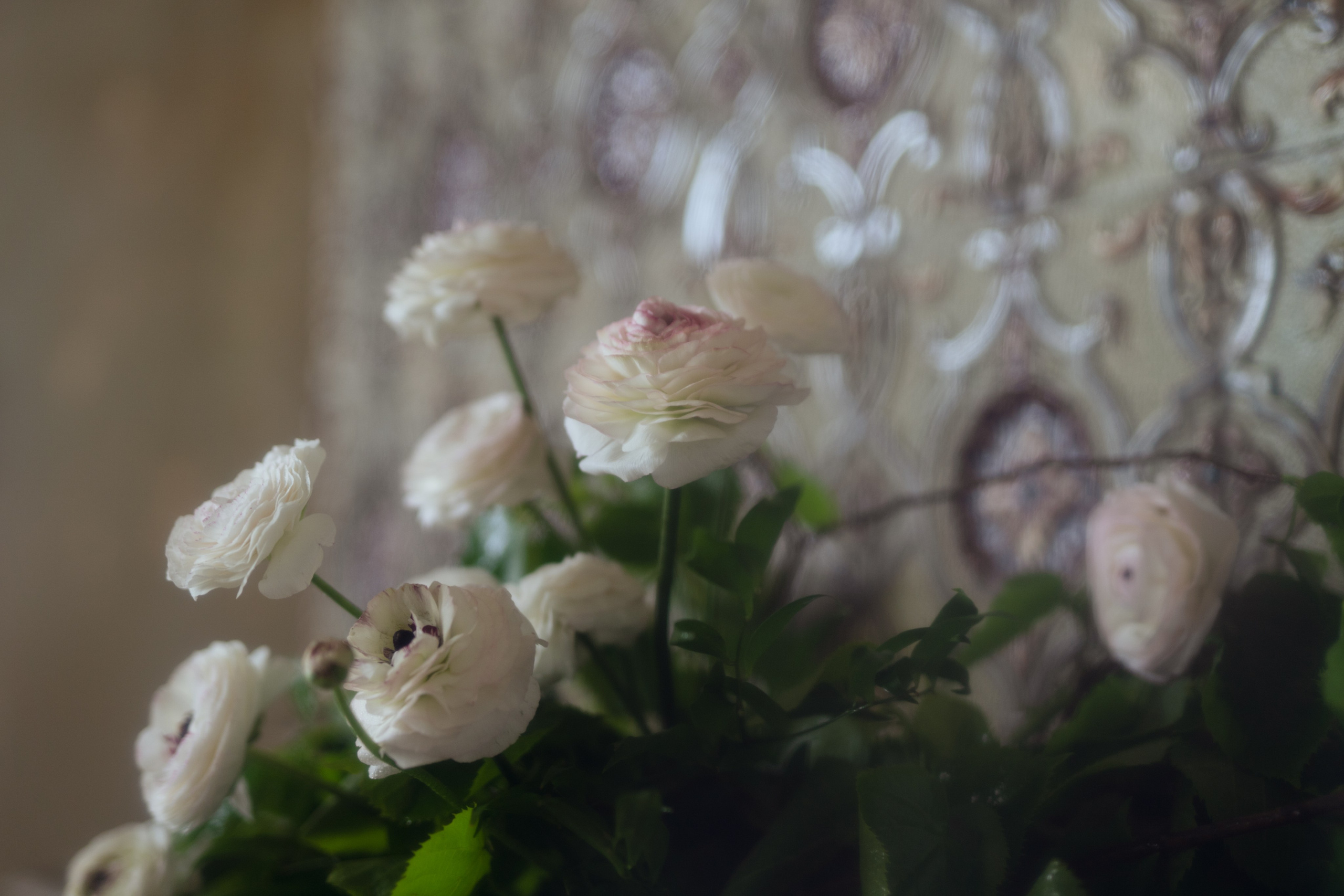 The Secret Garden. Портретный фотограф в Краснодаре Валерия Матирная