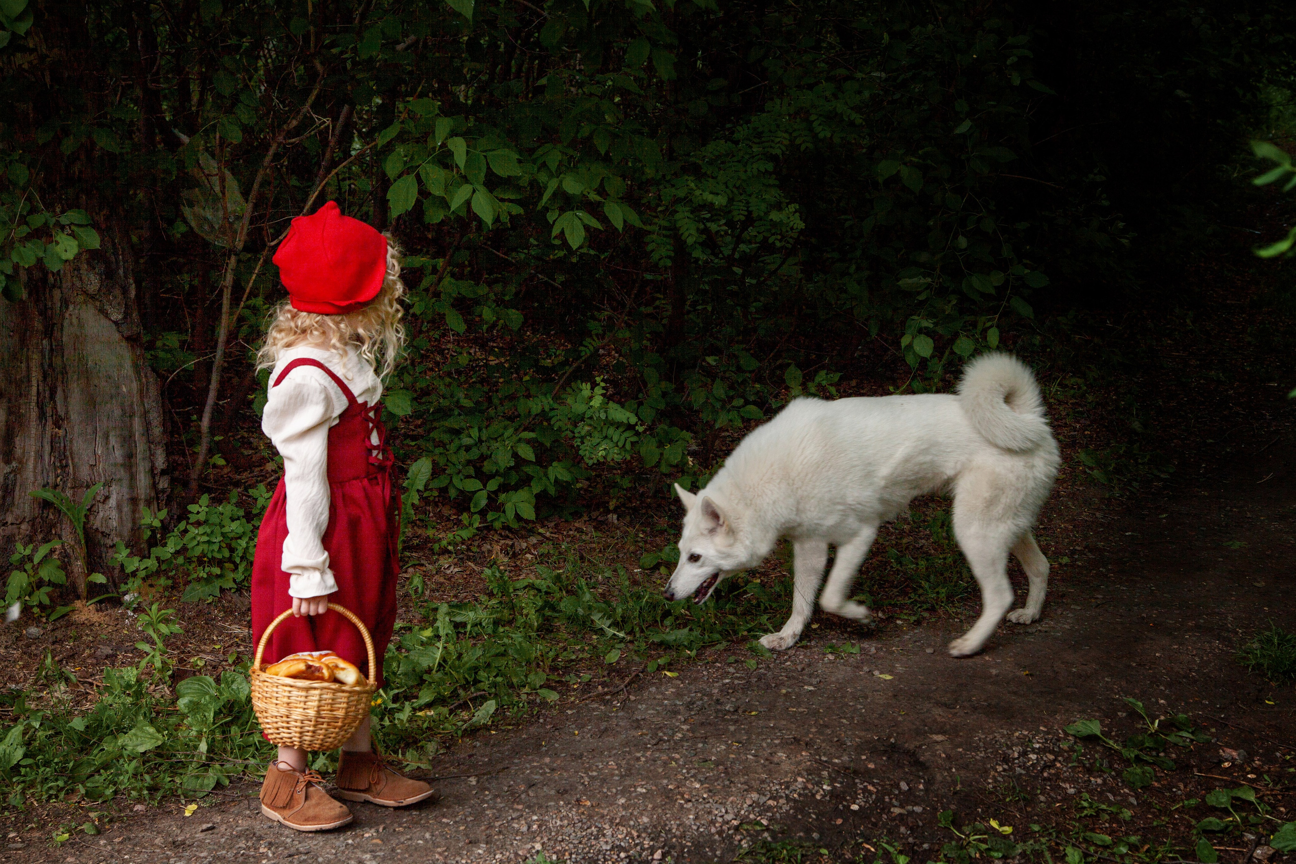 Красная шапочка. Детский и семейный фотограф в Бердске и Новосибирске Дарья Гребнева