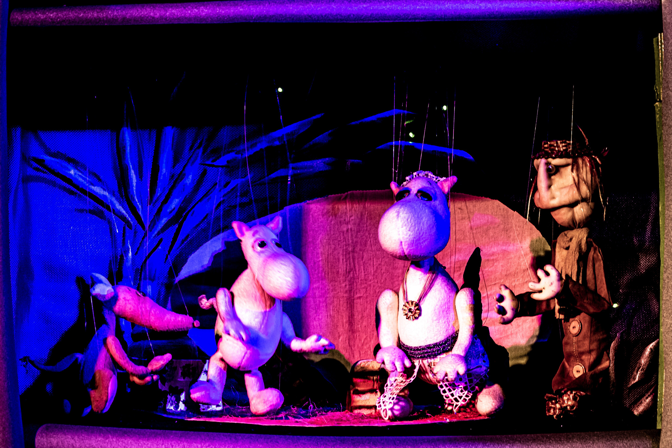 «Муми тролли и большое наводнение». Фотограф в Сочи Юрий Шептаев