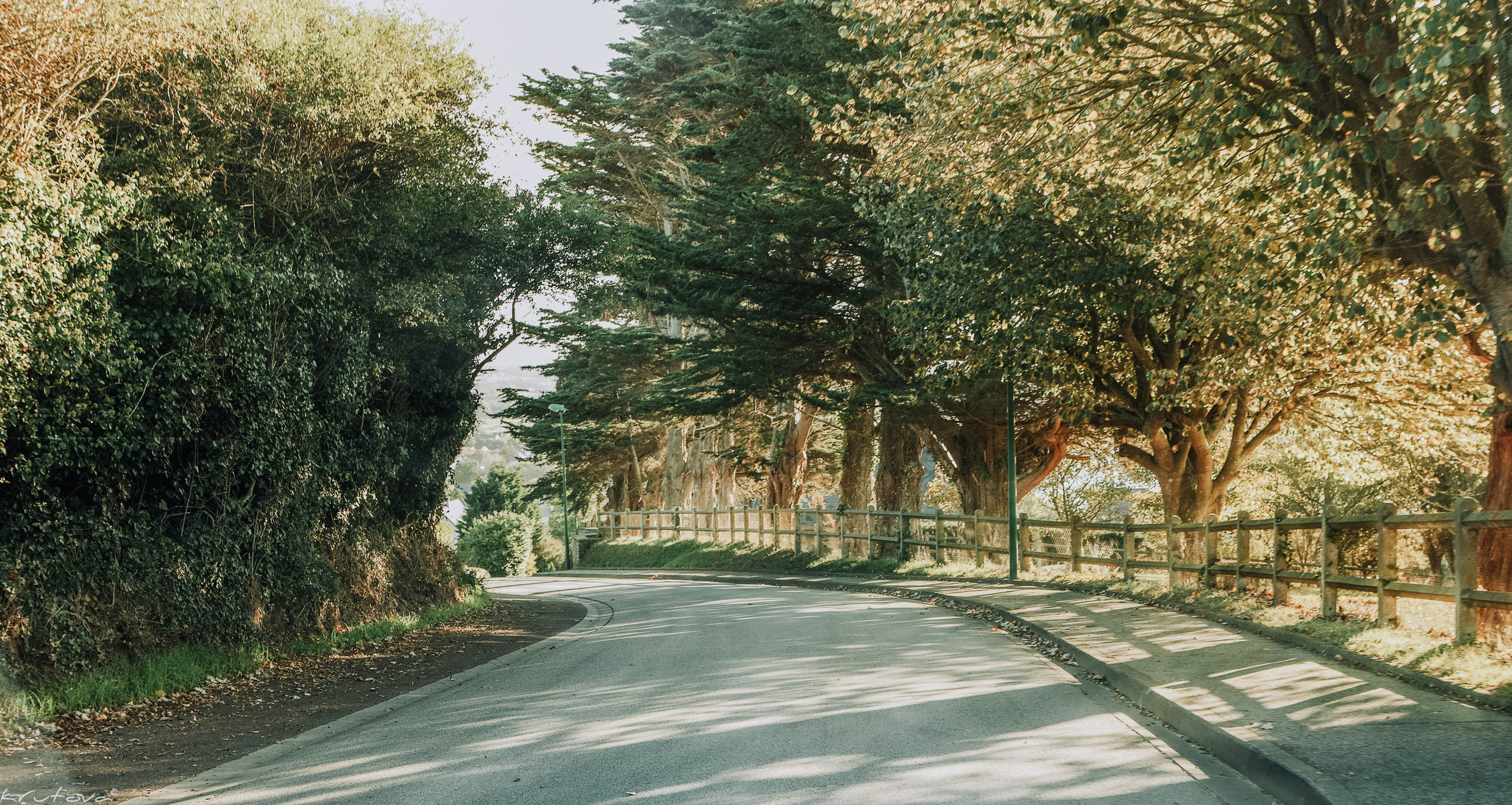 Travel. Лена Крутова. Фотограф в Москве