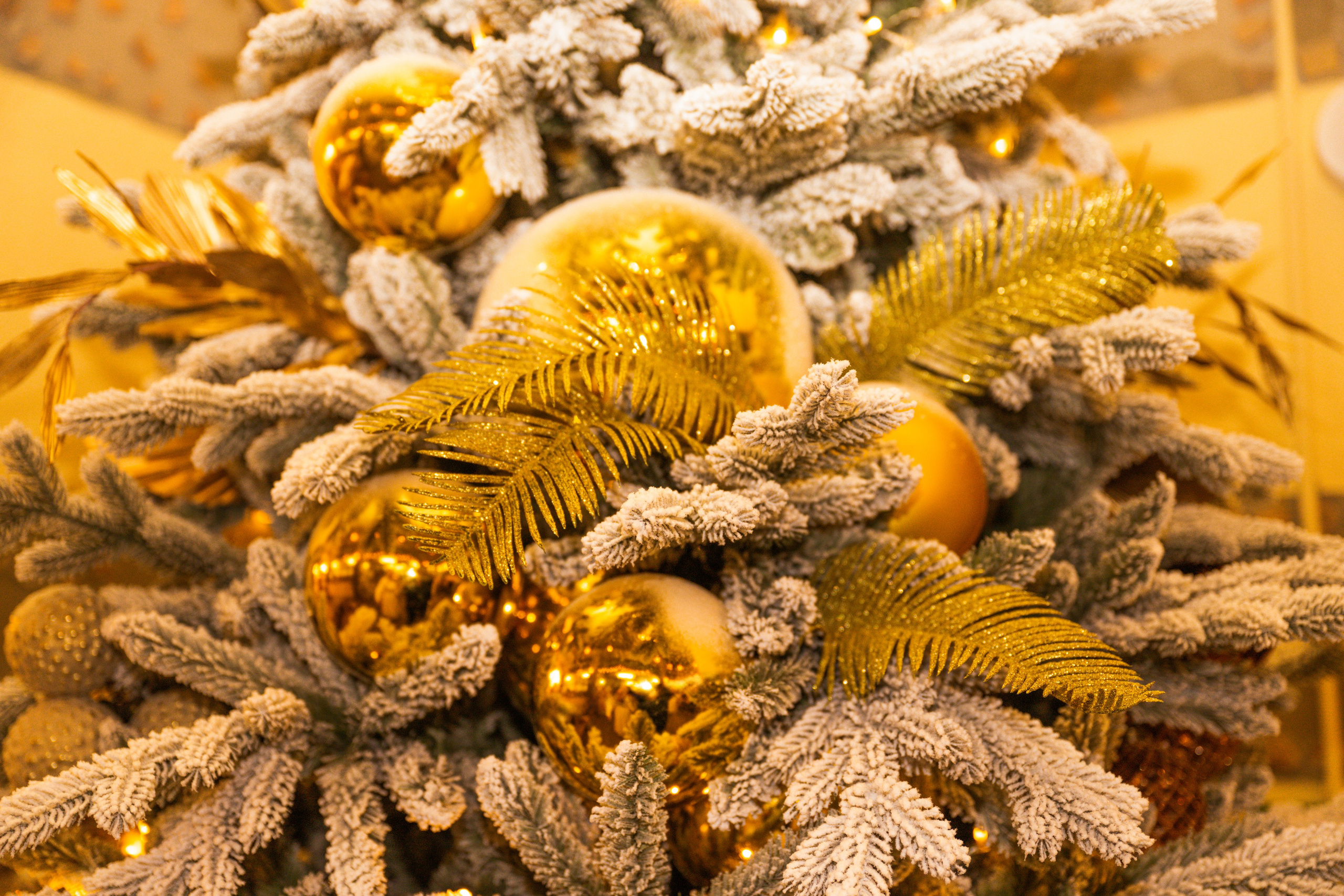 Контент и предметная съемка. Реклама. Бизнес. Студийный и свадебный фотограф и видеограф в Севастополе — Юлия Макаренко